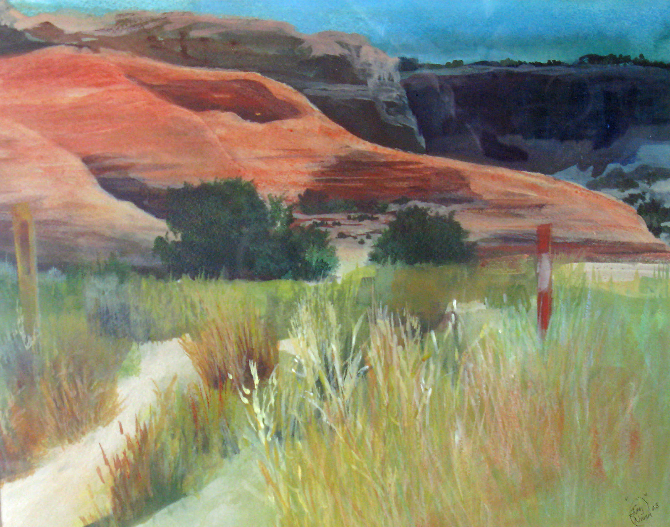 Desert grasses red hill ts93bf