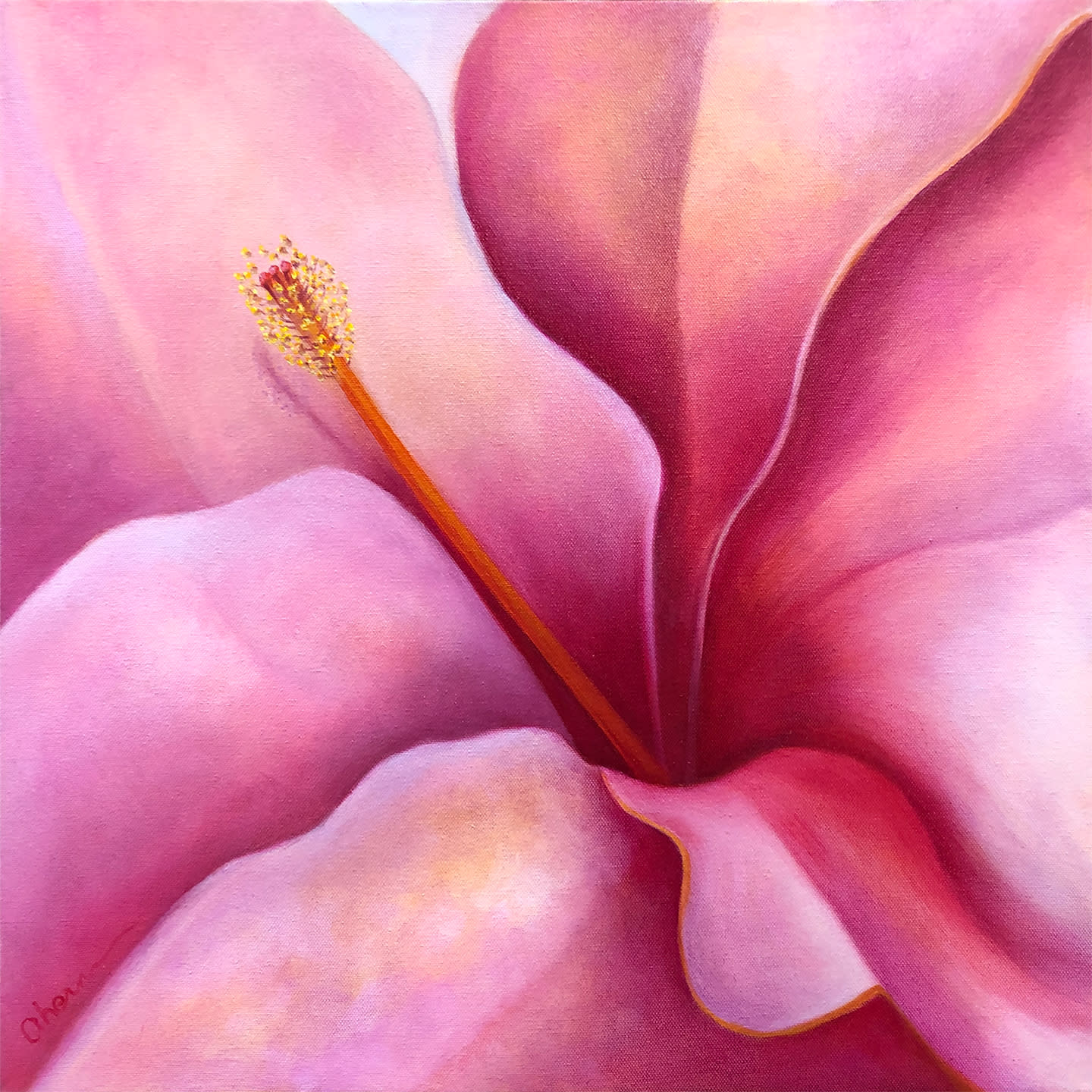 1181028 here i am pink hibiscus 20x72 hpdjmv