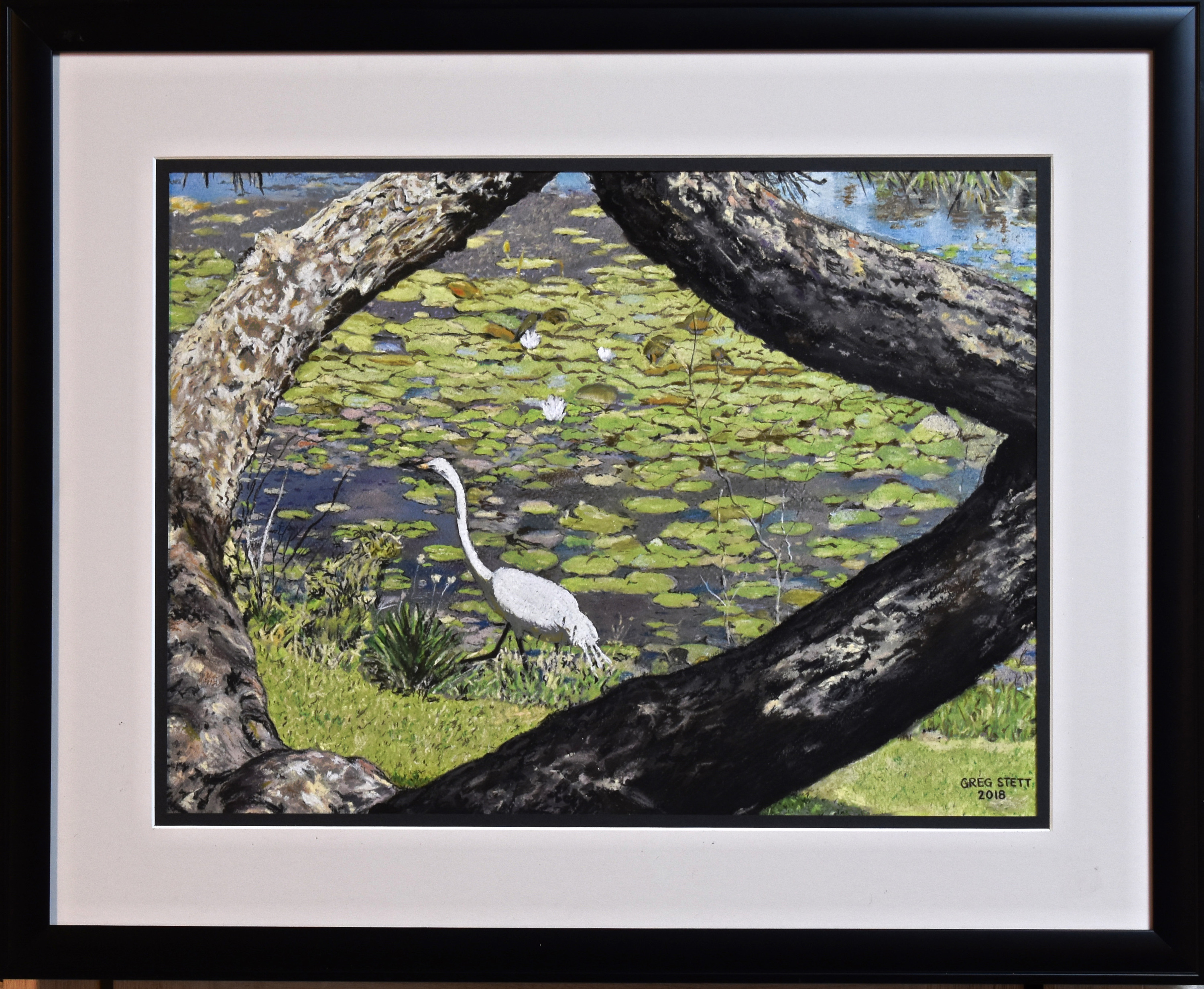 Egret at lake lily ipg4jb