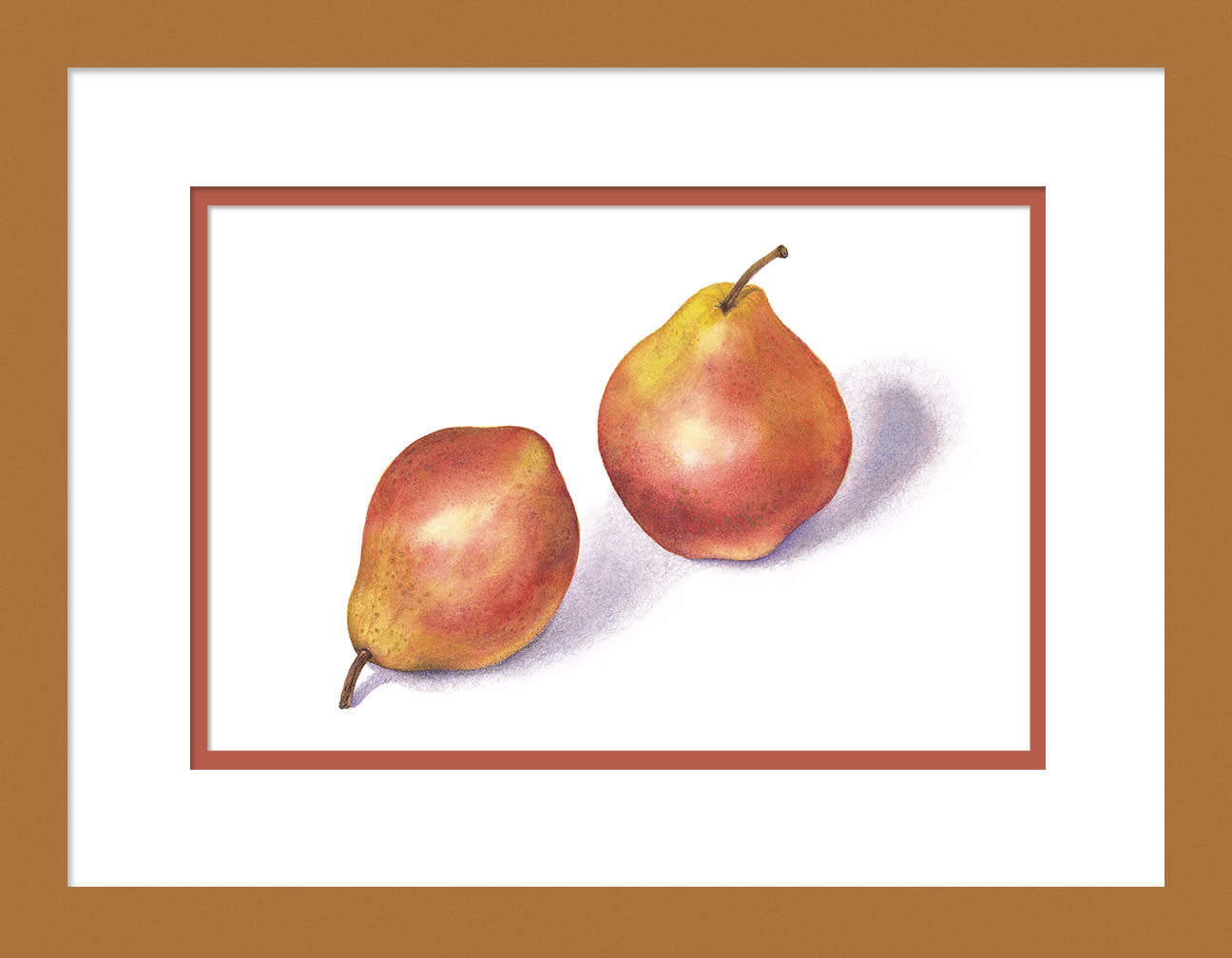 030502 red pears 2 8x12 framed to 12x16 pqlyg7