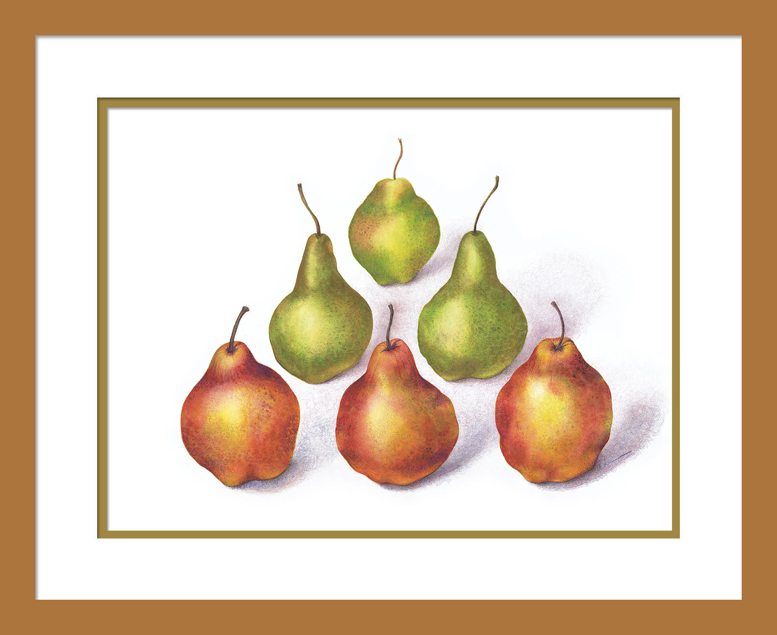 030503 pyramid pears  1 12x16 matted in 16x20 frame oq7bnh