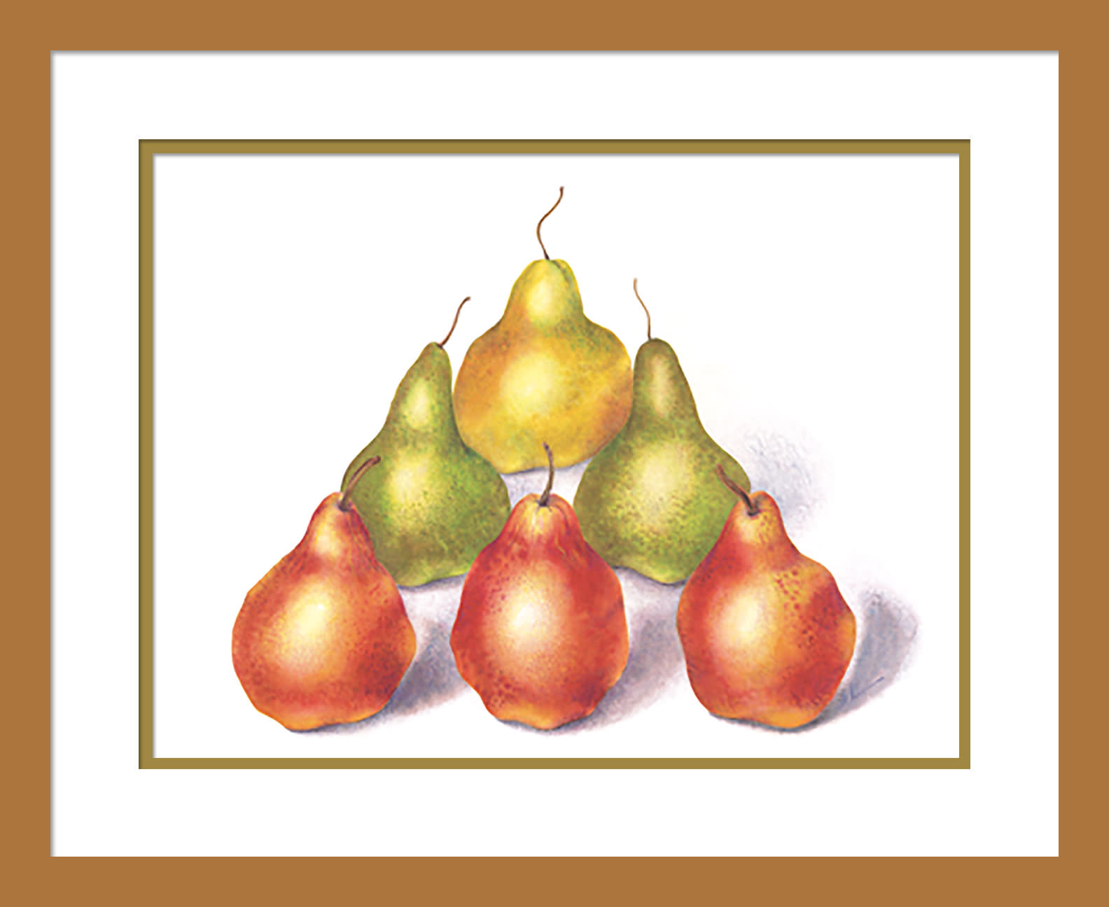 030504 pyramid pears  2 12x16 matted in 16x20 frame y2mdjc