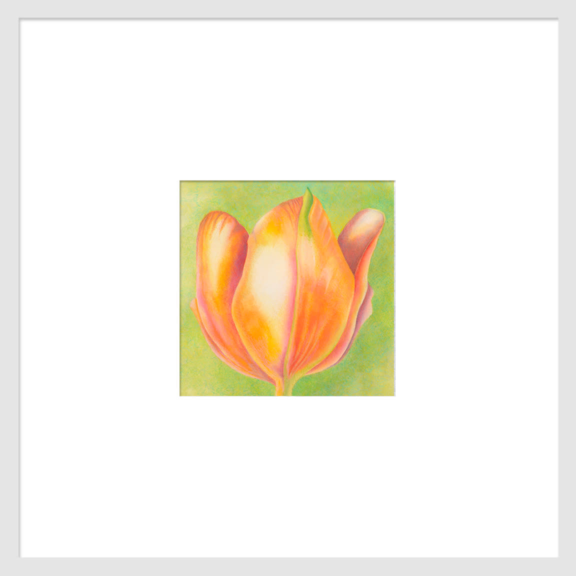 100701 orange tulip series  1 6x6 matted to 16x16x72 hzdtd6