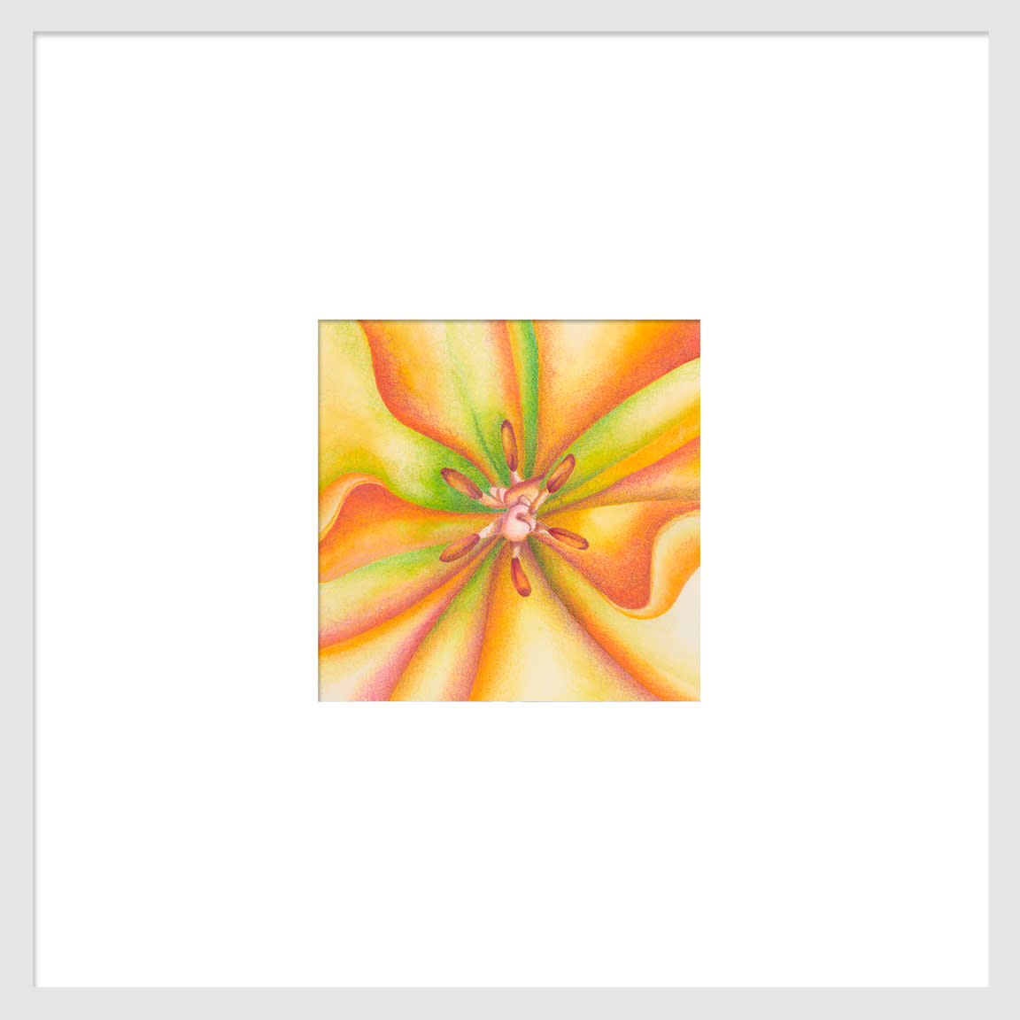 100702 orange tulip series  2 6x6 matted to 16x16x72 hwk2p4