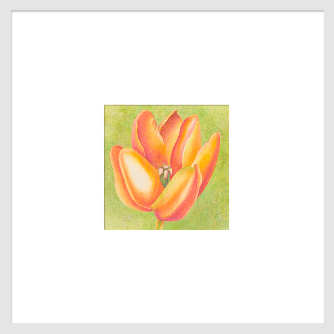 100703 orange tulip series  3 6x6 matted to 16x16x72 icjv13
