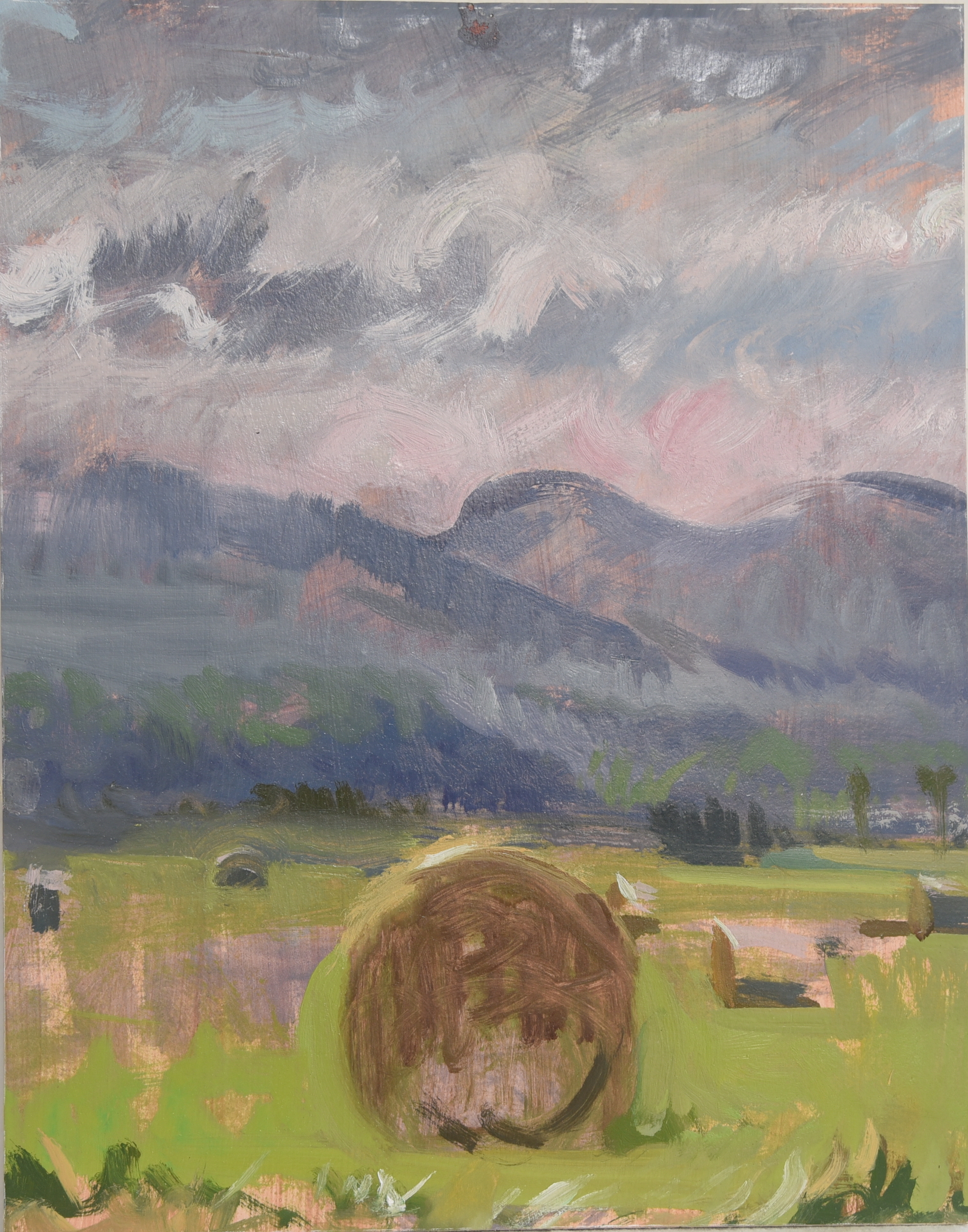 A bale . oil on paper panel. 11 22x14 22 ic0vmf