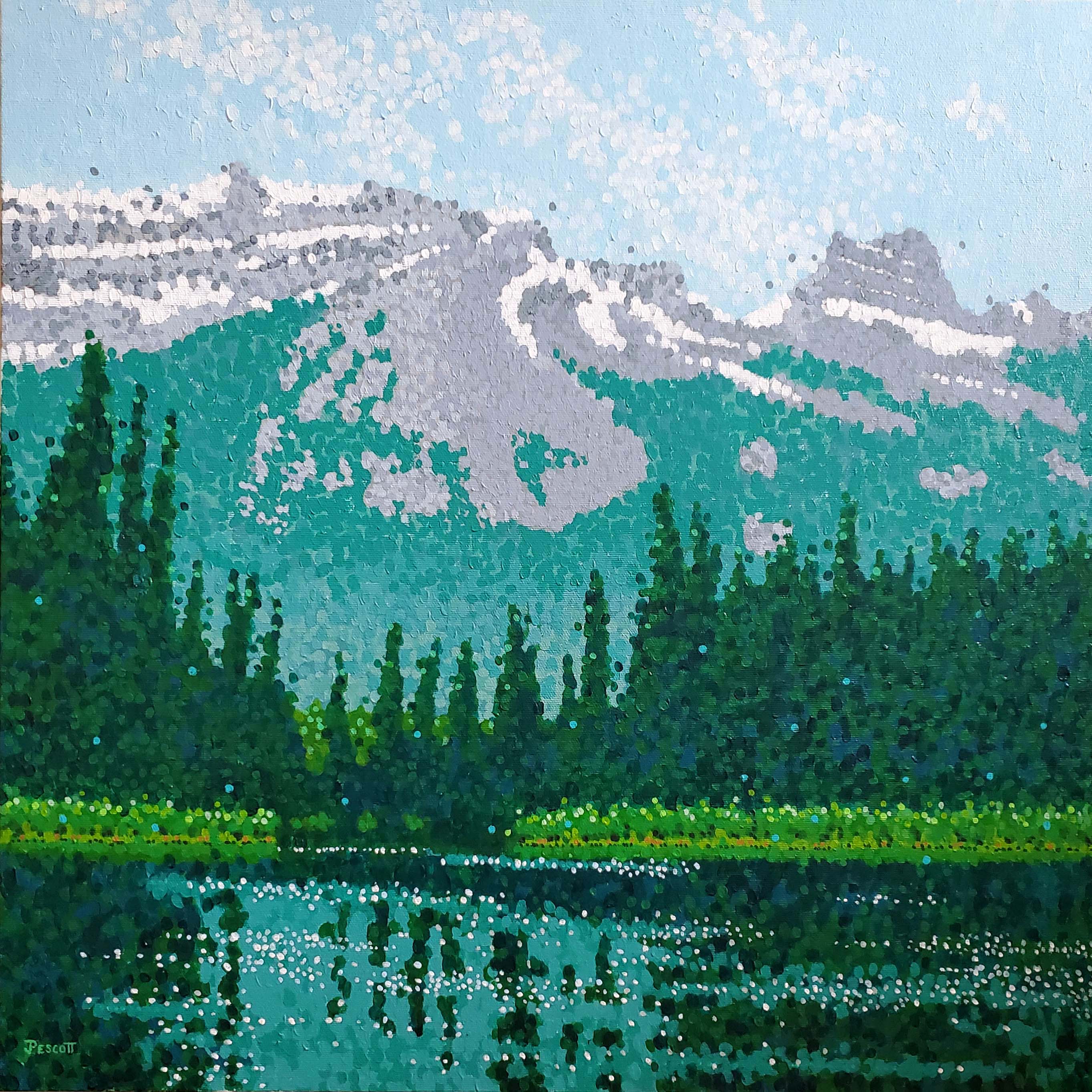 Pescott bow river banff 20x20 x6kc7w