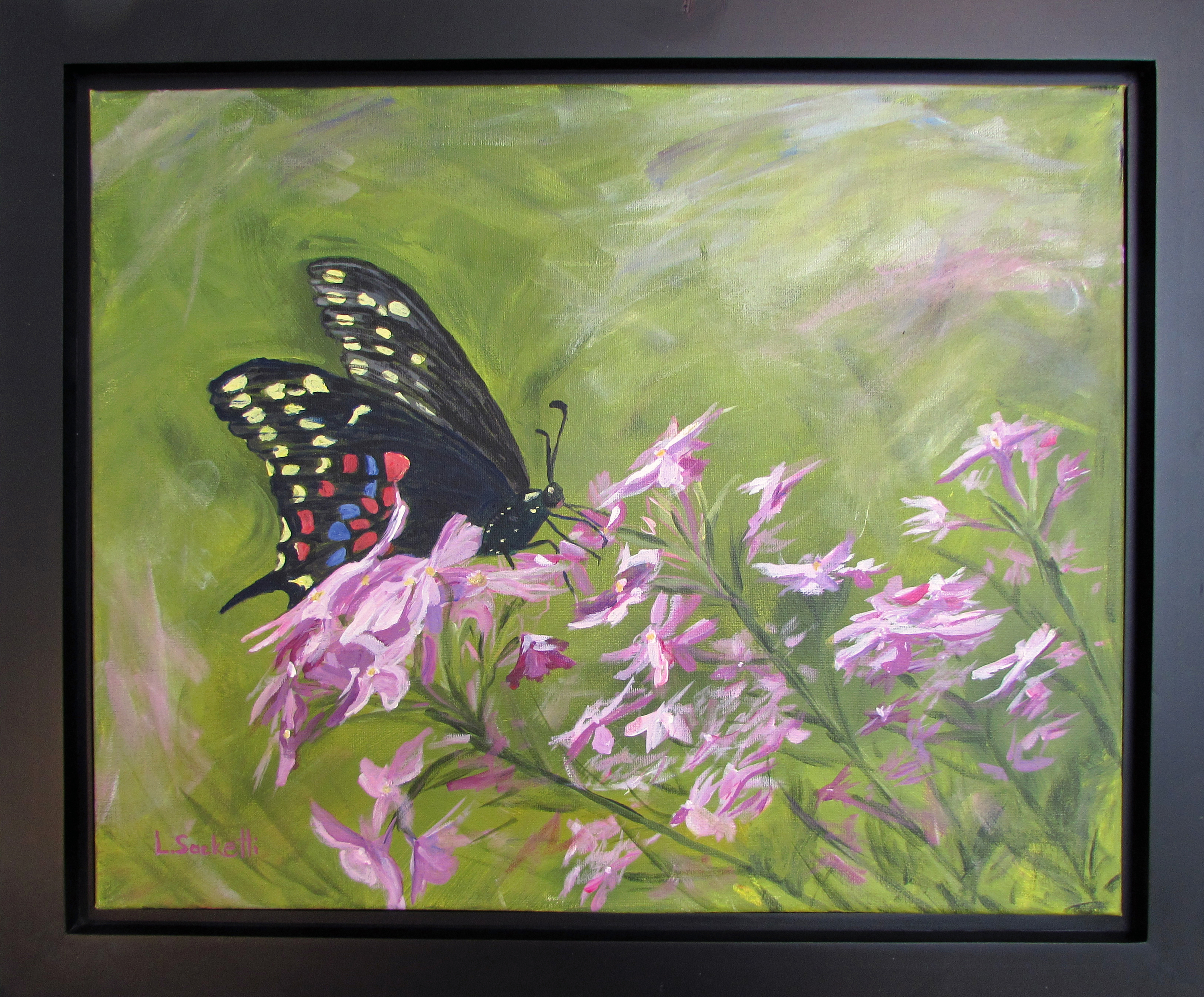 Butterfly framed fsqq1l