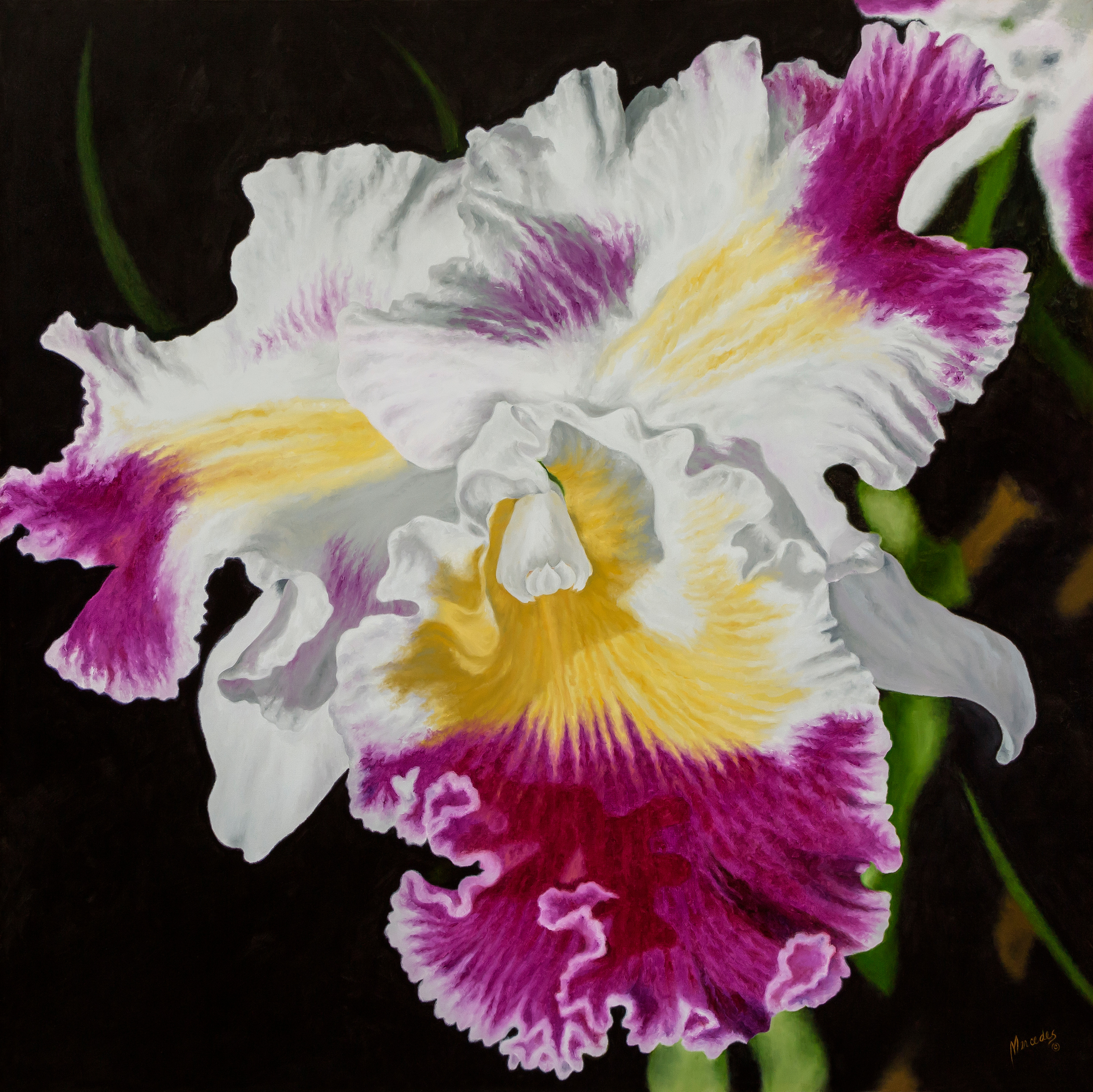 Orchid 29a3001 print small hyhsdf