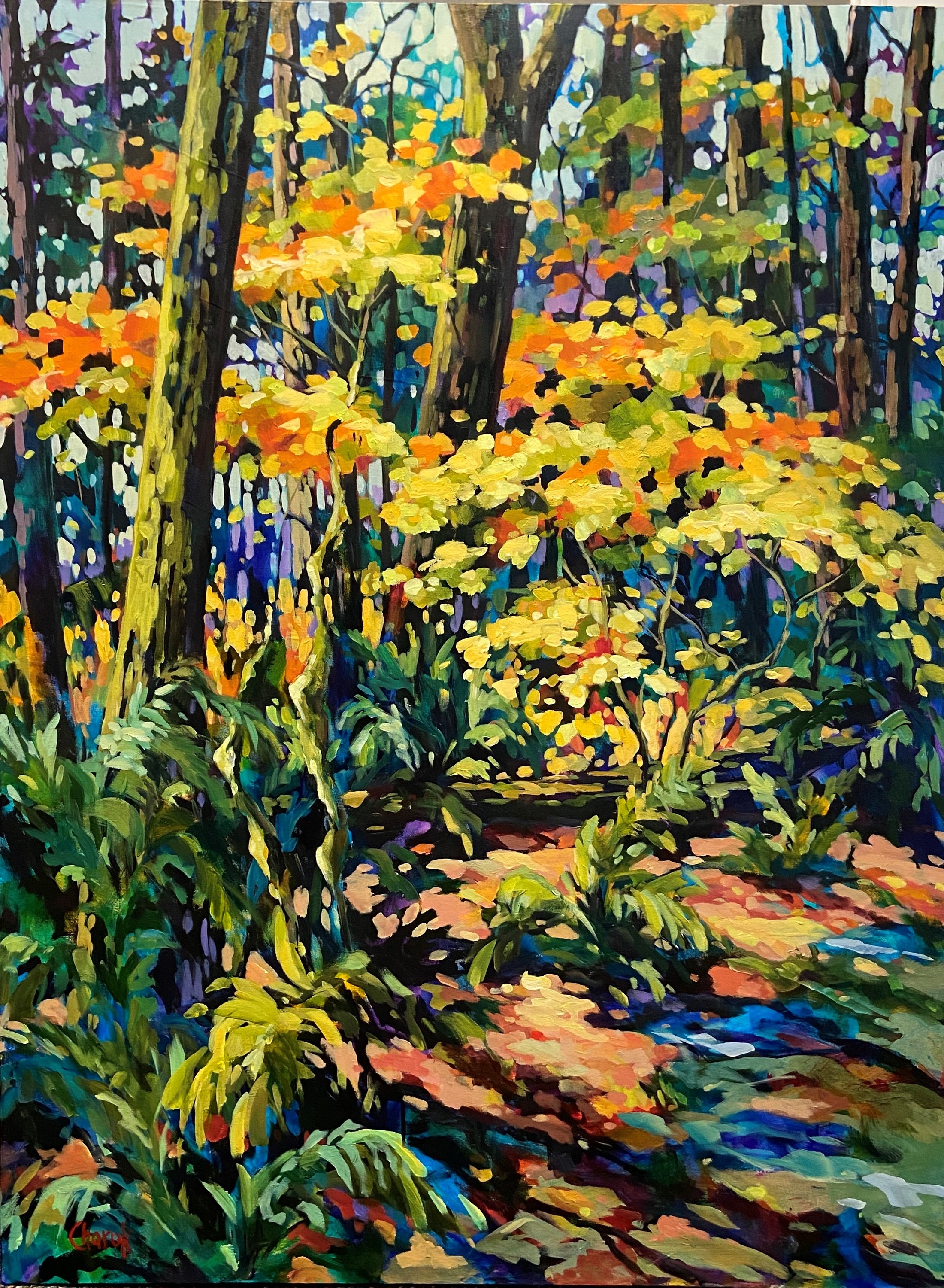 Forest bathing 48 x 36 dozotp