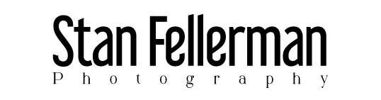 stanfellerman