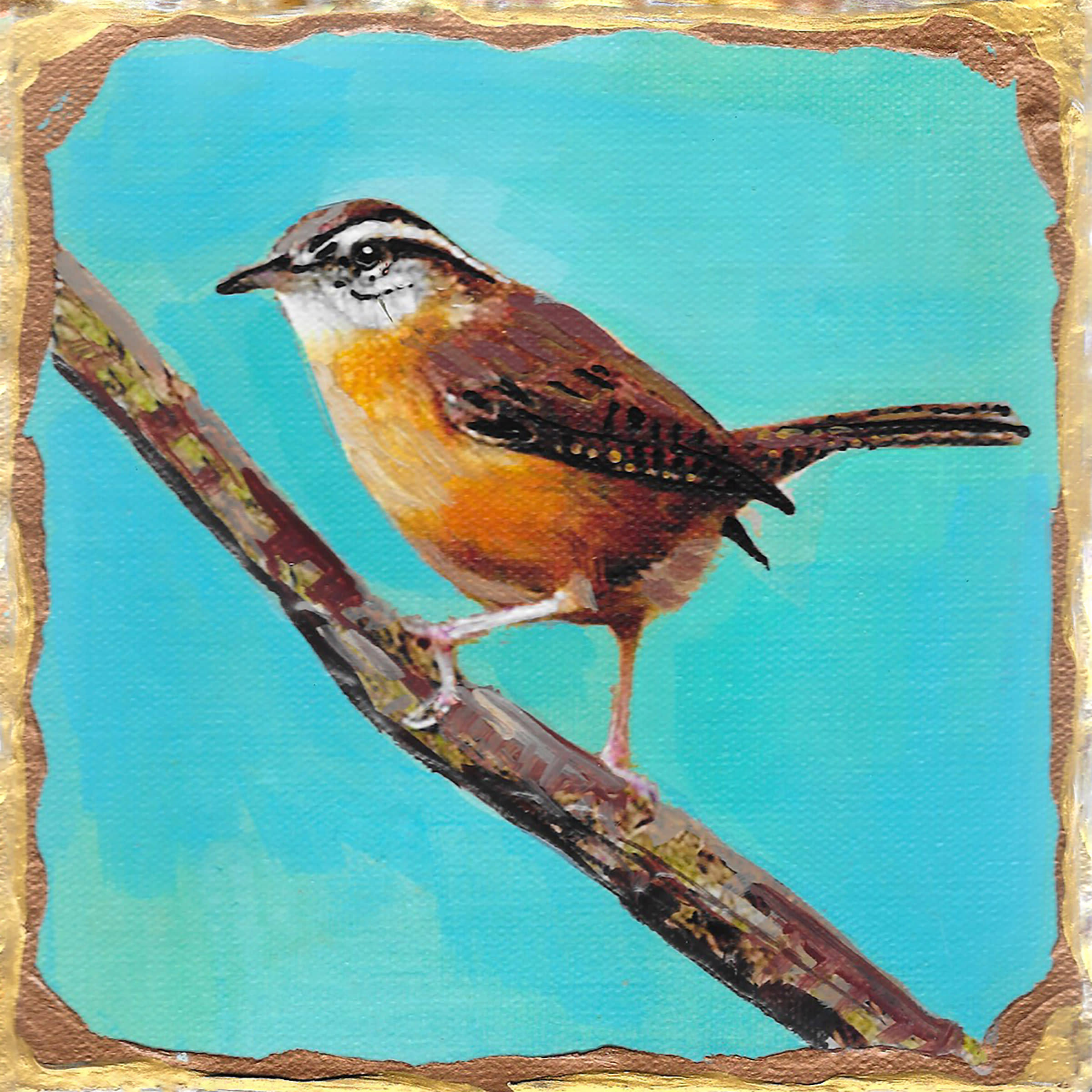 Carolina wren pnwwc8