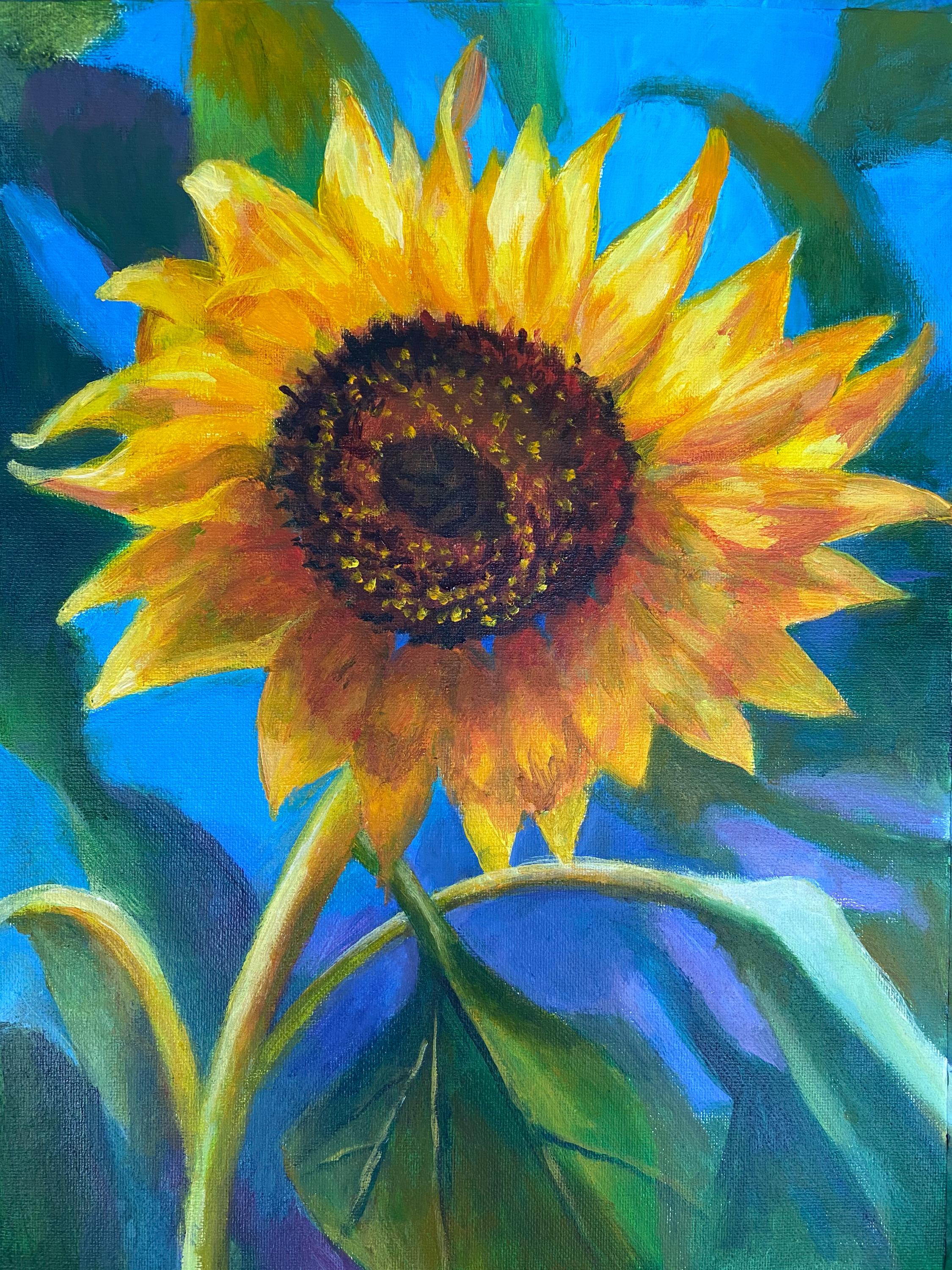 Sunflower12 bfwt7f