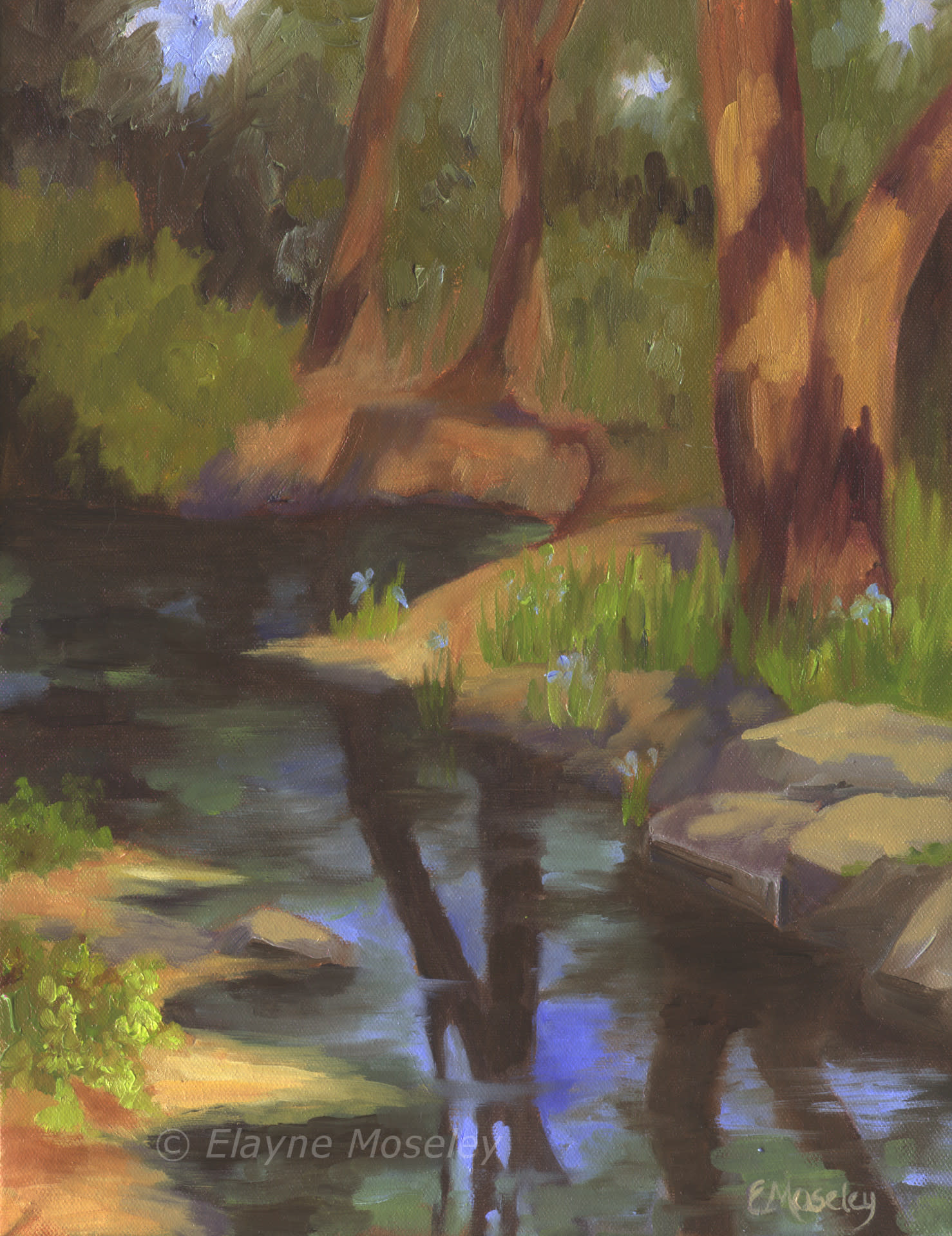 Lazy afternoon by the creek gruw3s