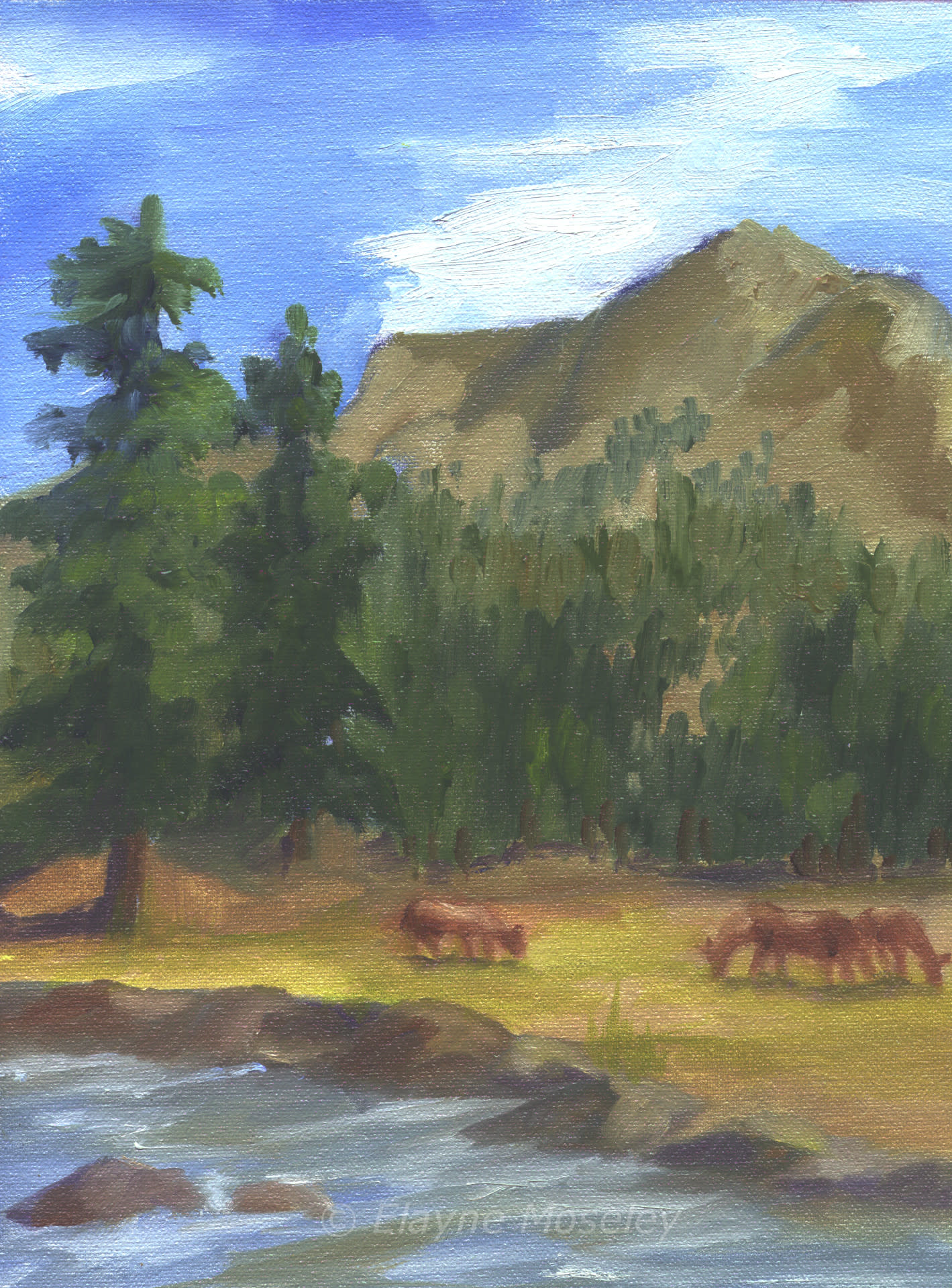 Grazing caxibh