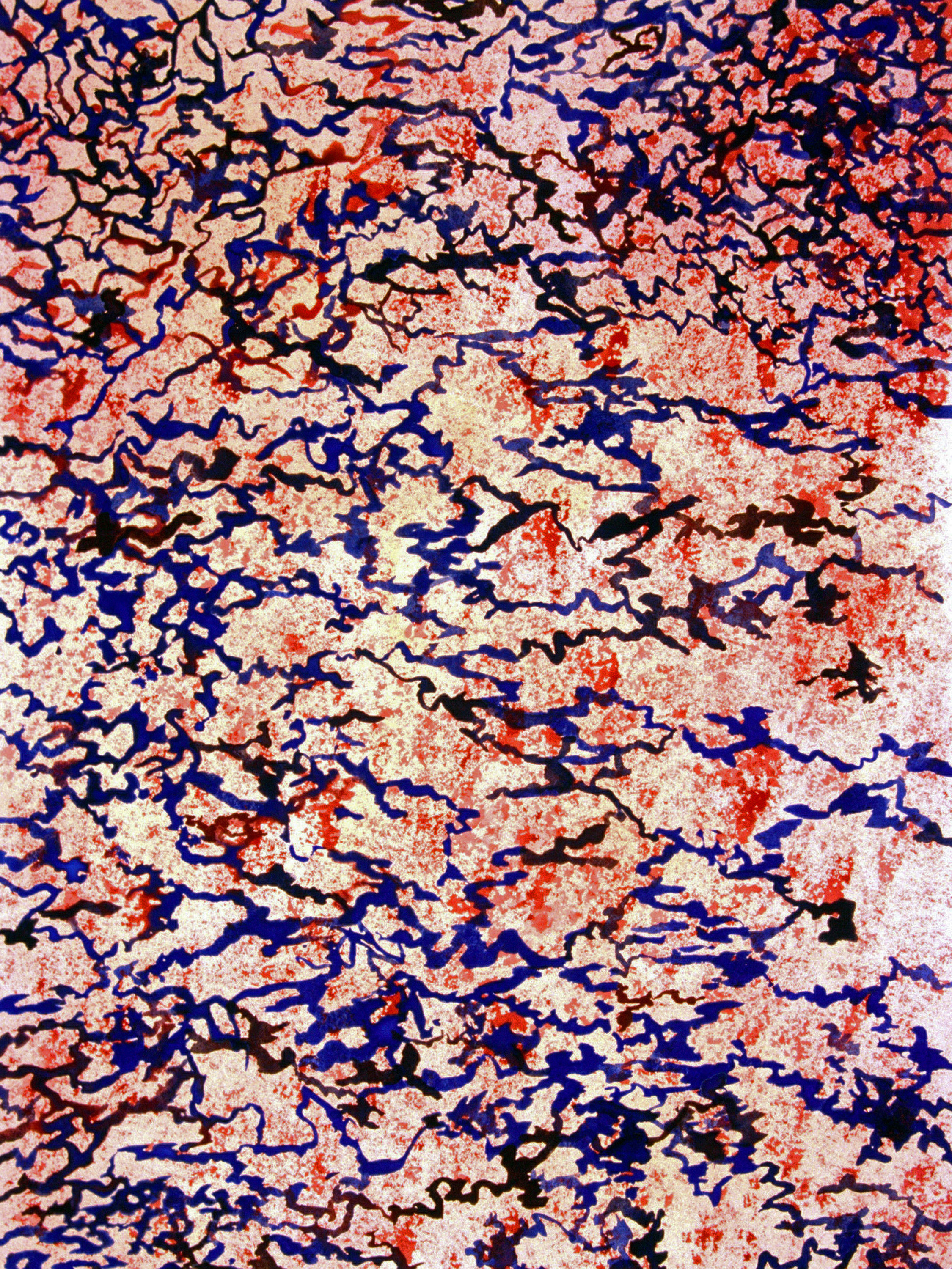 External forces   tanja   24 22 x 18 22   watercolour on paper mounted on board   resin coat ilrv3l