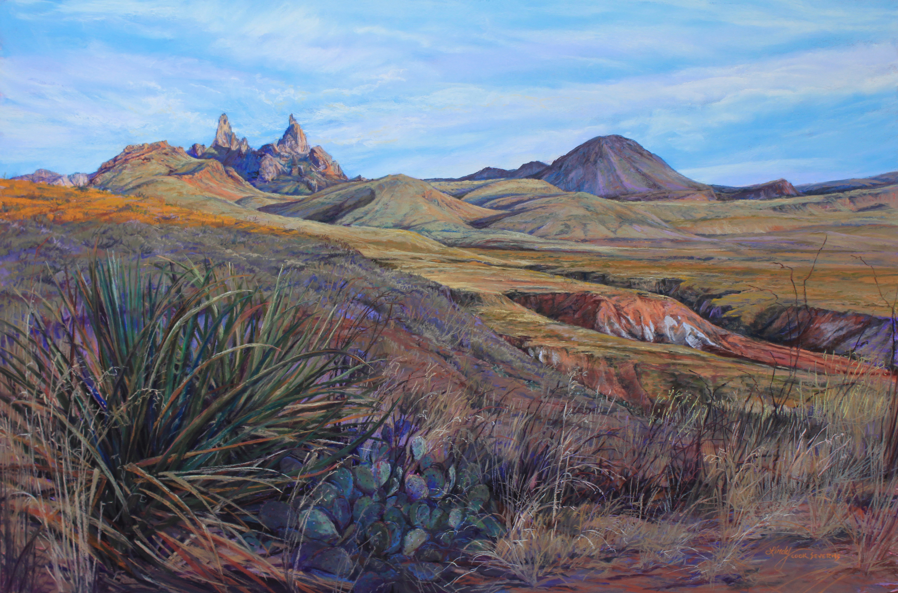 Serenity in the tx desert 24x36p 10 lxulxt