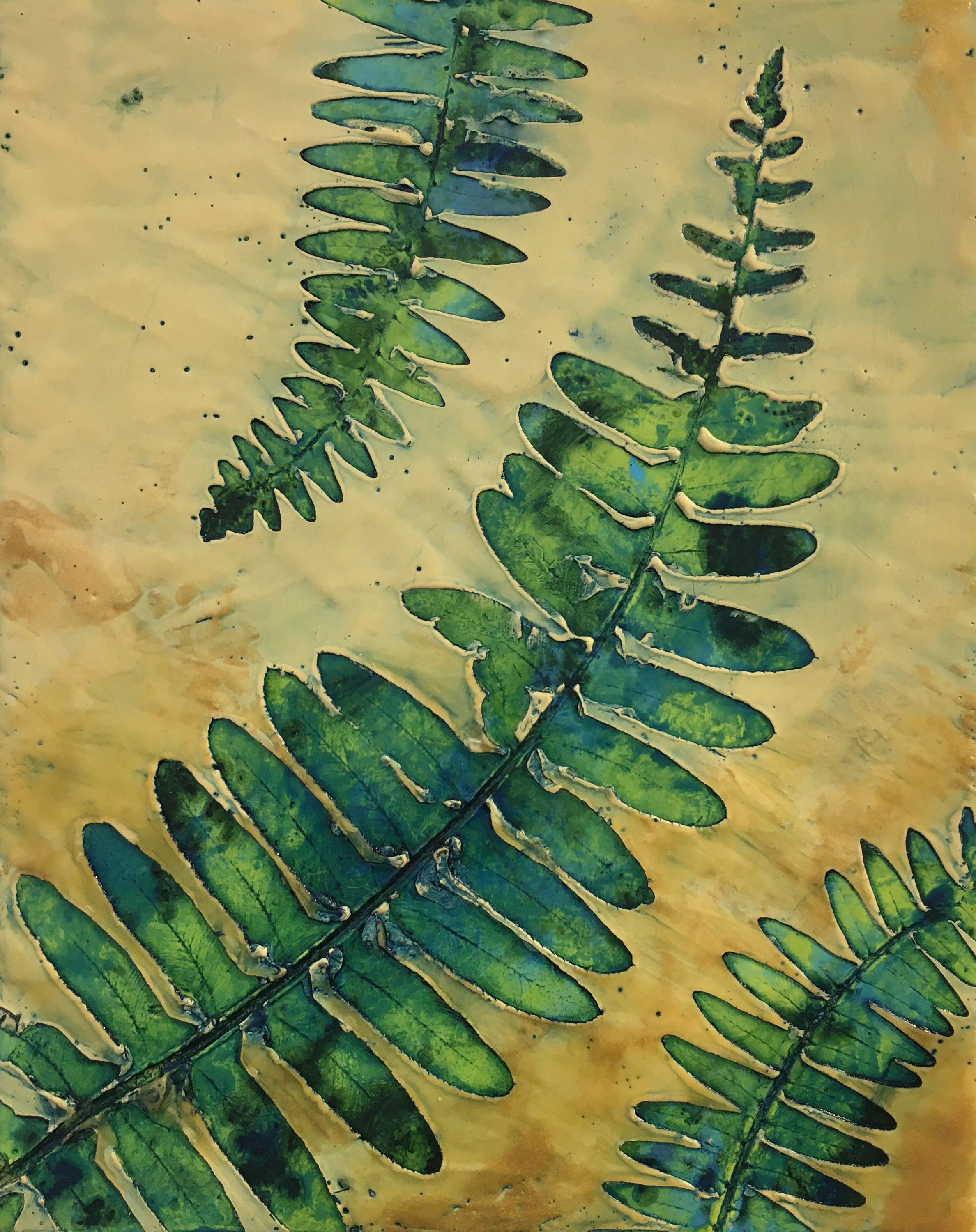 Bridgetbenton ferns8x10 encausticnatureprint 325 front ztuxds