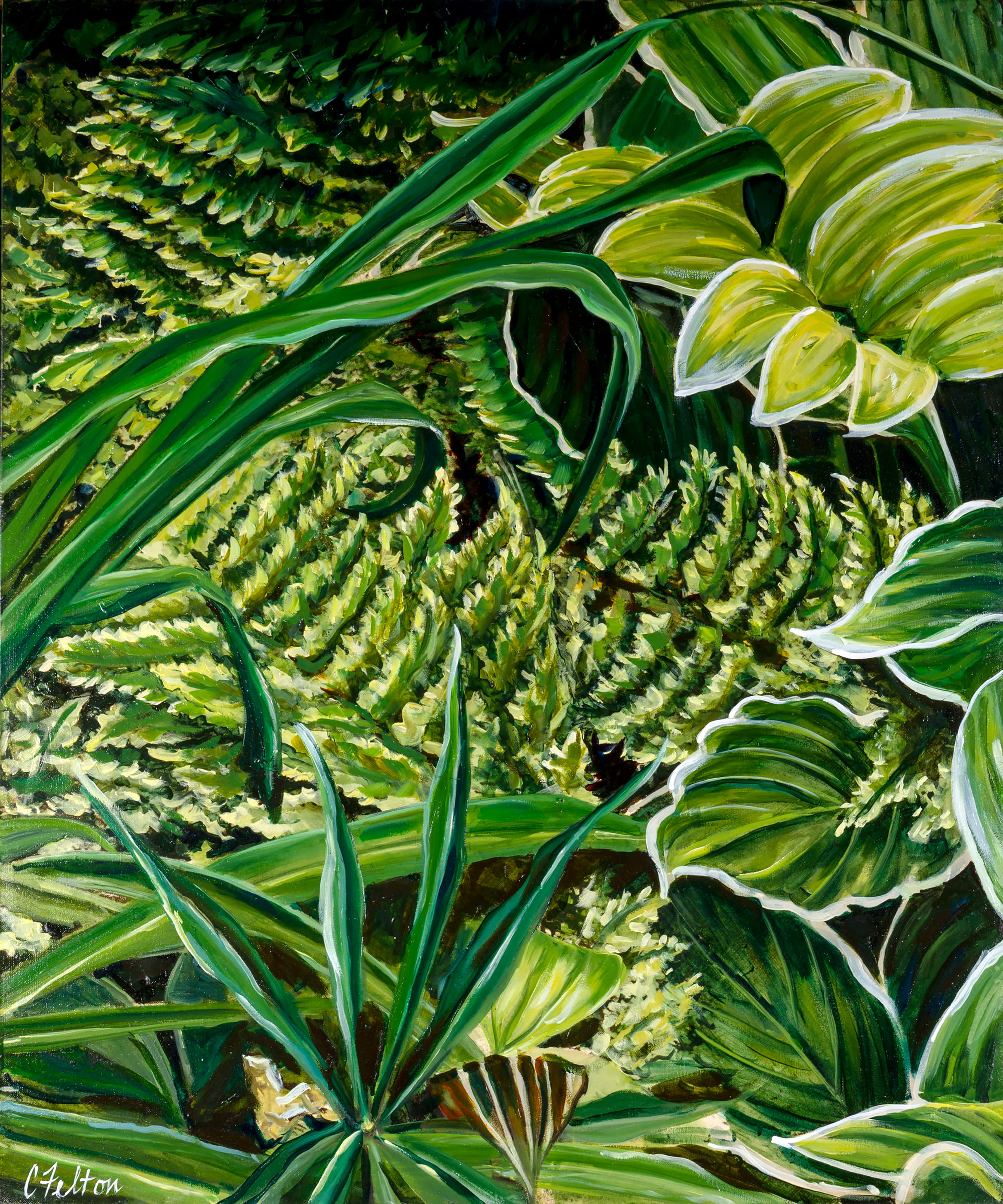 Rainforest 1 for original folder hhngfl