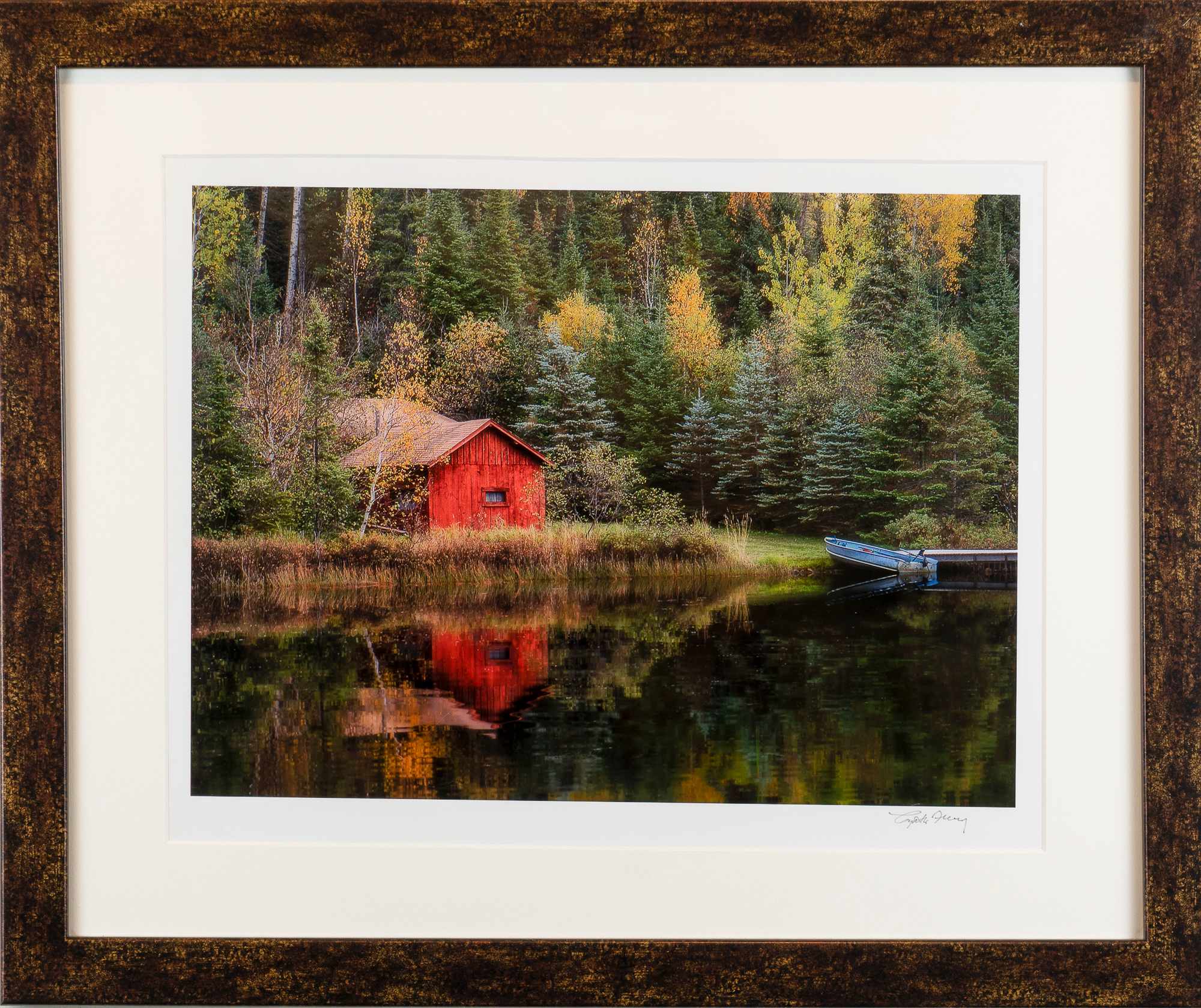 Red cabin in woods qrats0