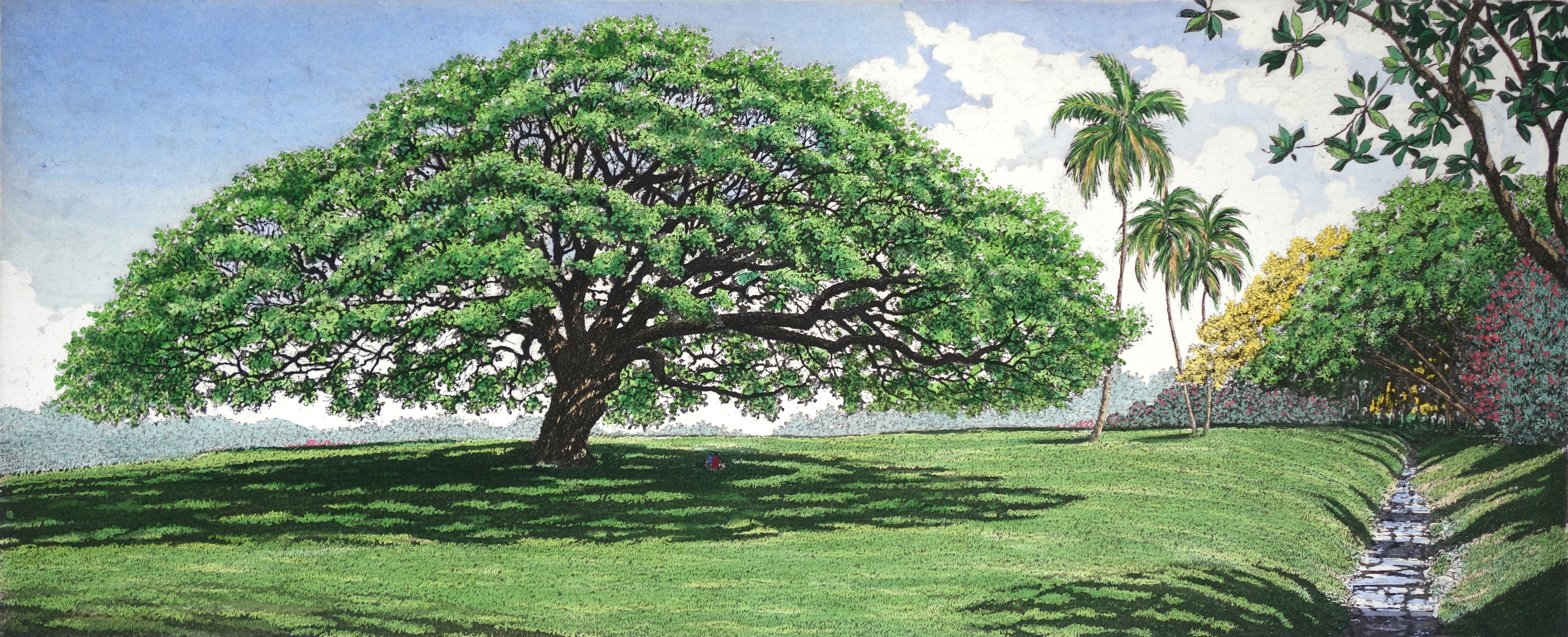 Moanalua gardens etching for asf klhf9f