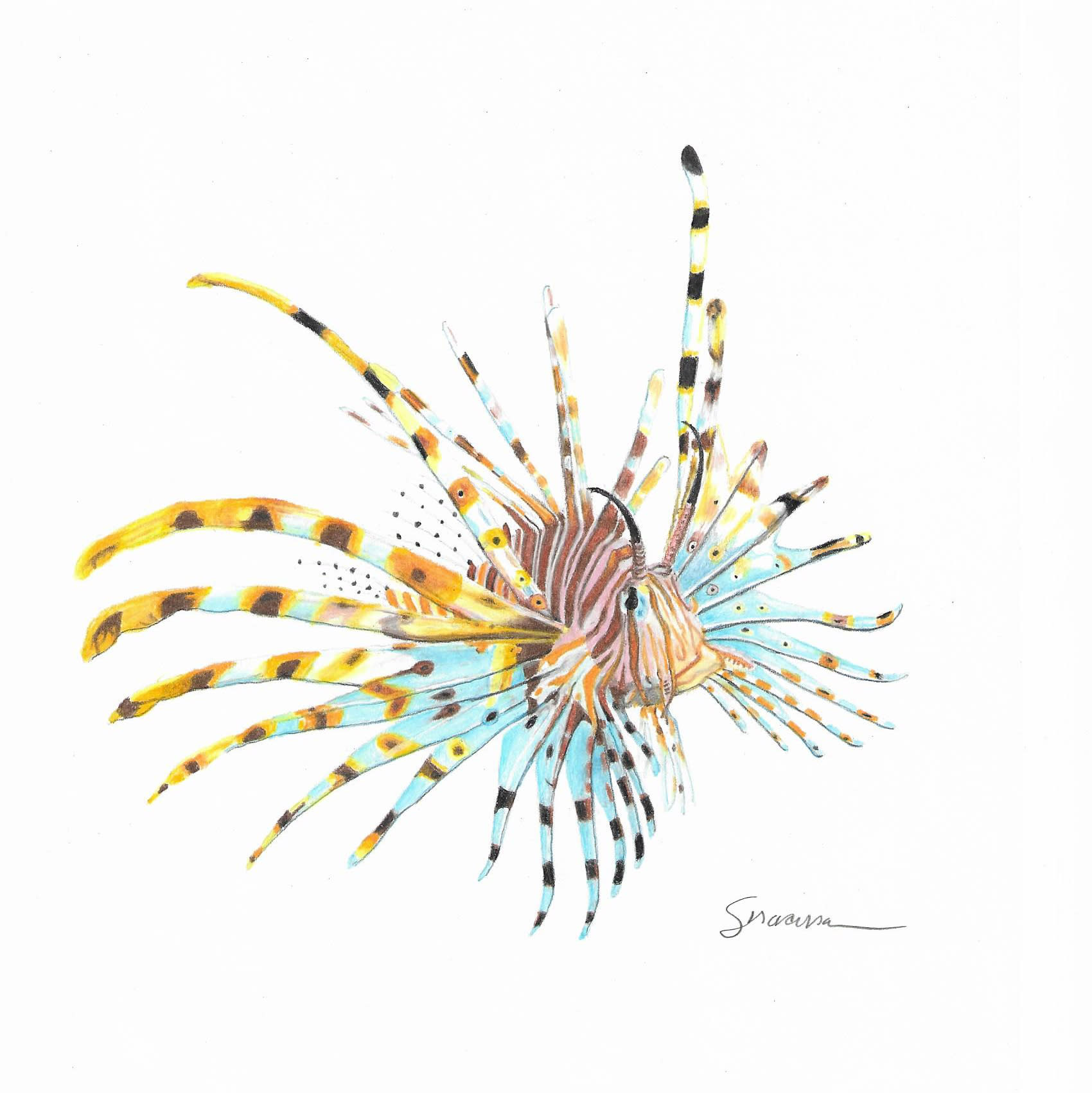 Lion fish limited edition print rd4gqb