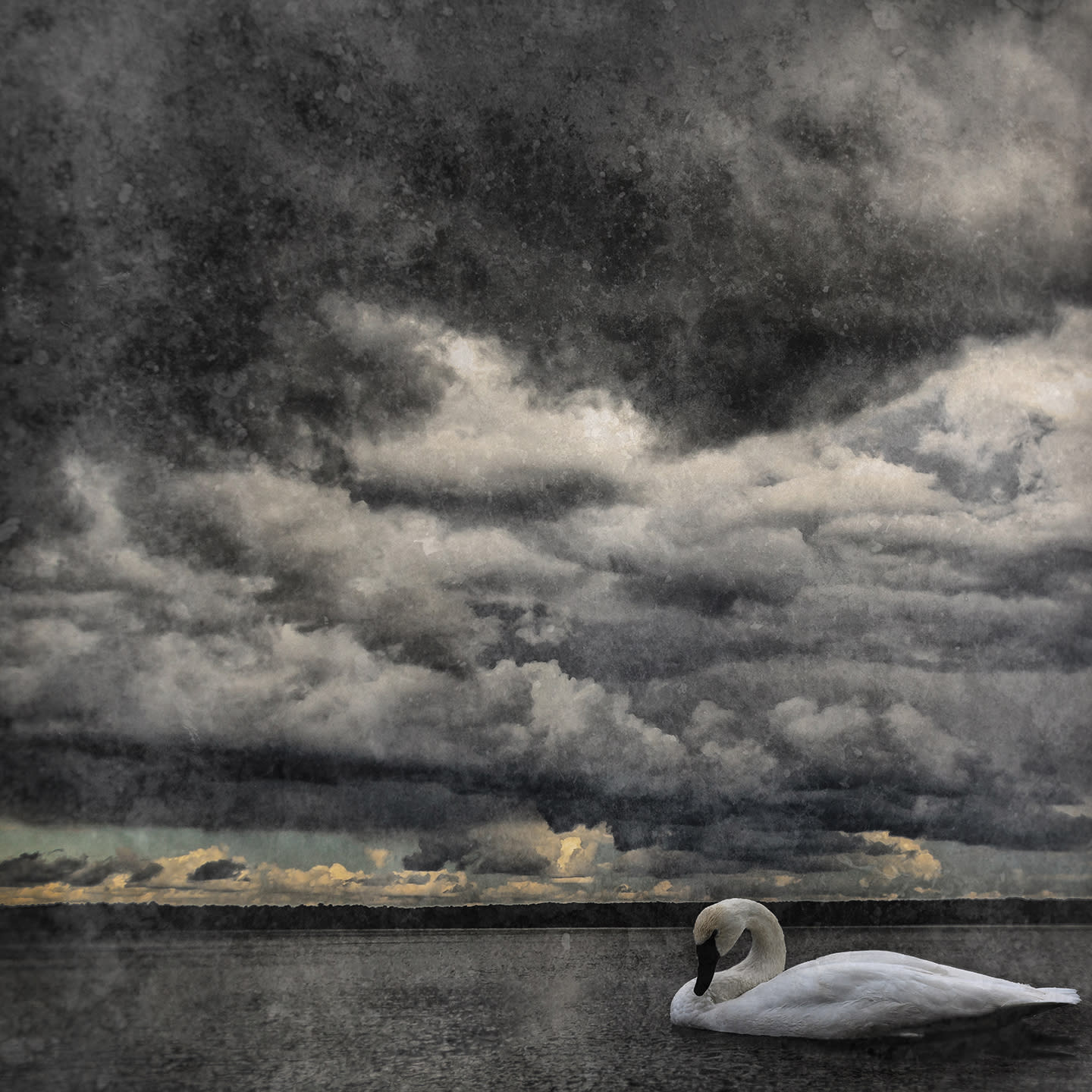 Swan lake i ssymfl
