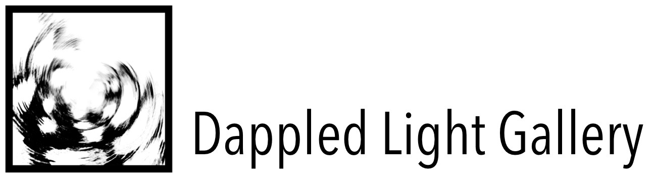 Dappled Light Gallery