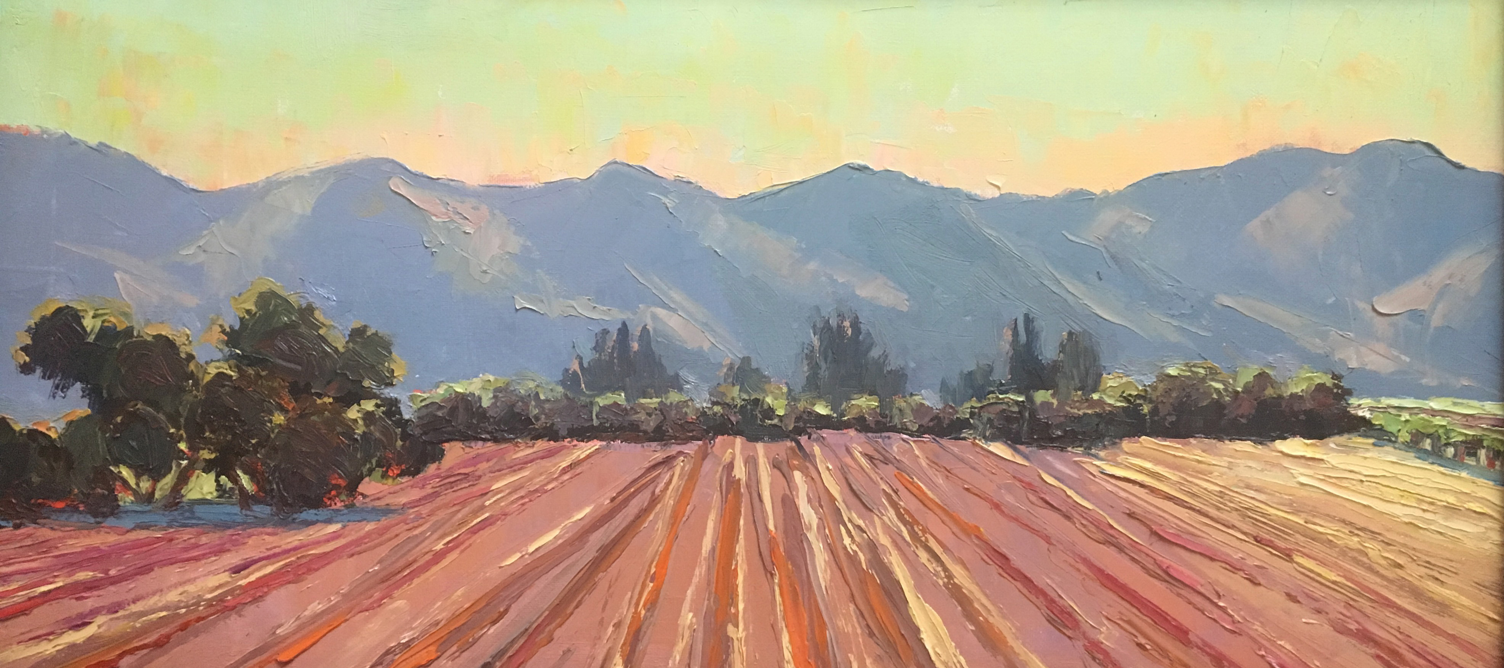 Buenas dias mother earth 24x12 n8umyp