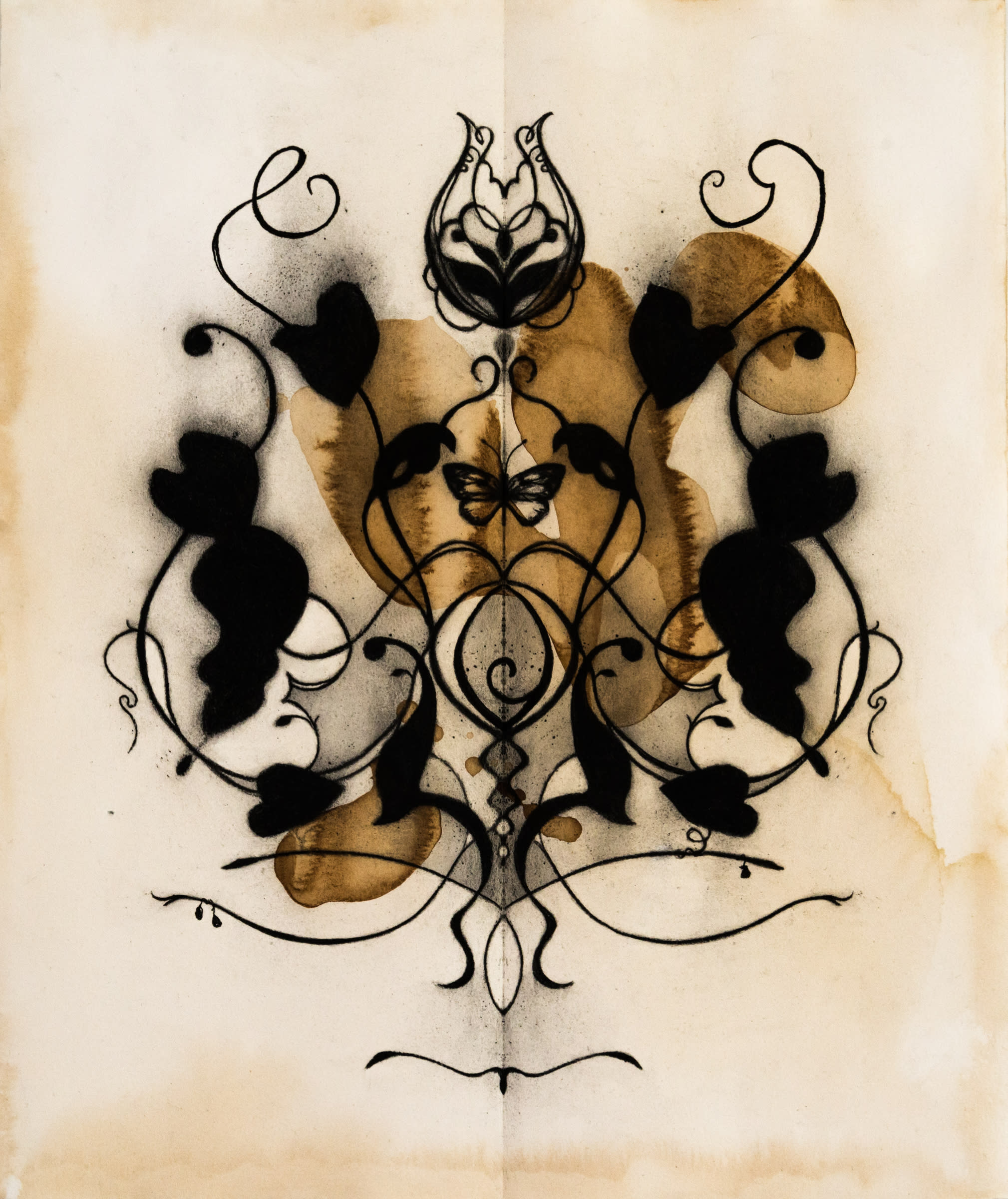 Arabesque 25x21 charcoal on tea stained paper 2020 jaap vovdnh