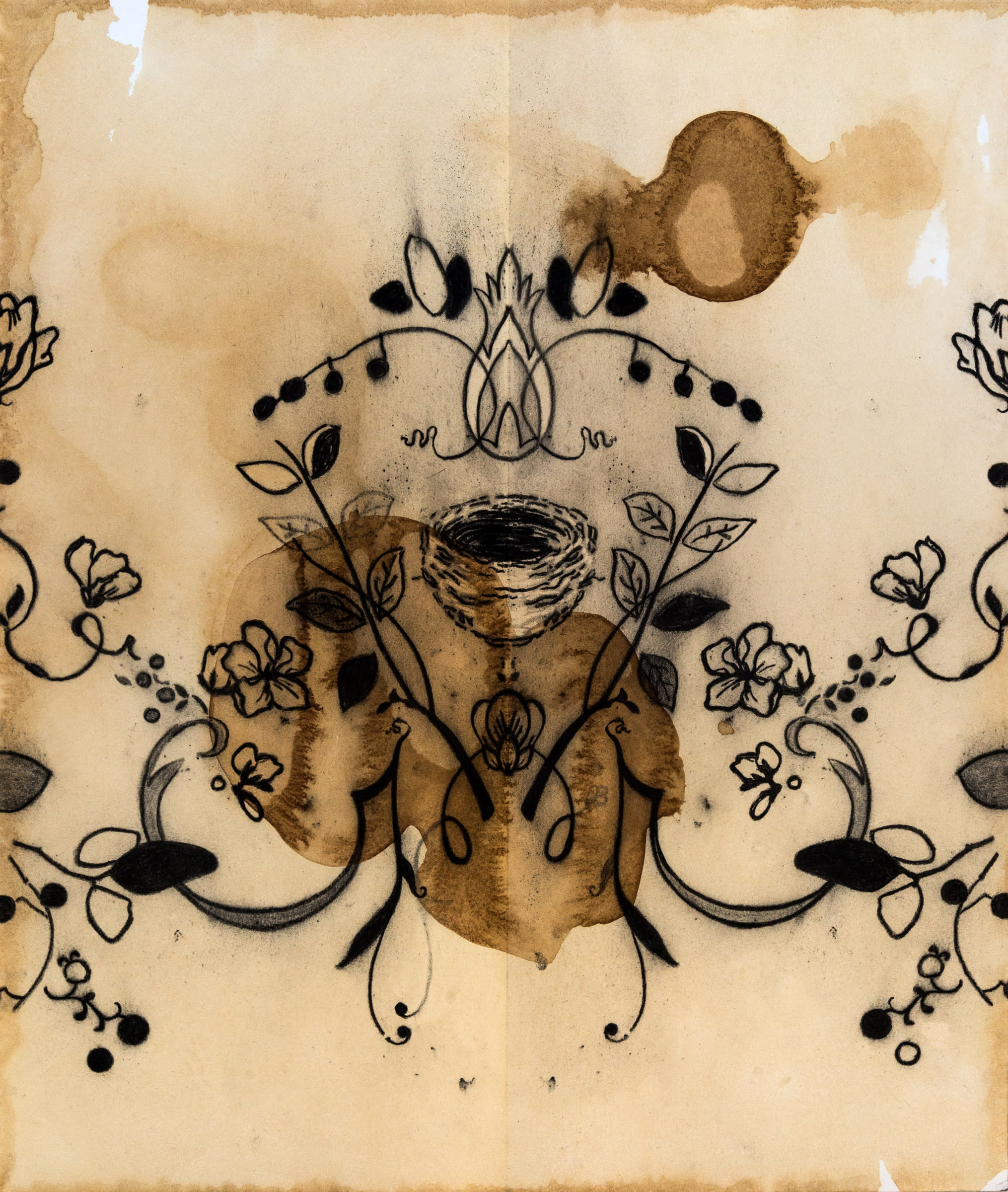 Nest with cherry blossoms 25x21 charcoal on tea stained paper 2020 jaap f7gokt