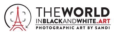 The World in Black and White .art