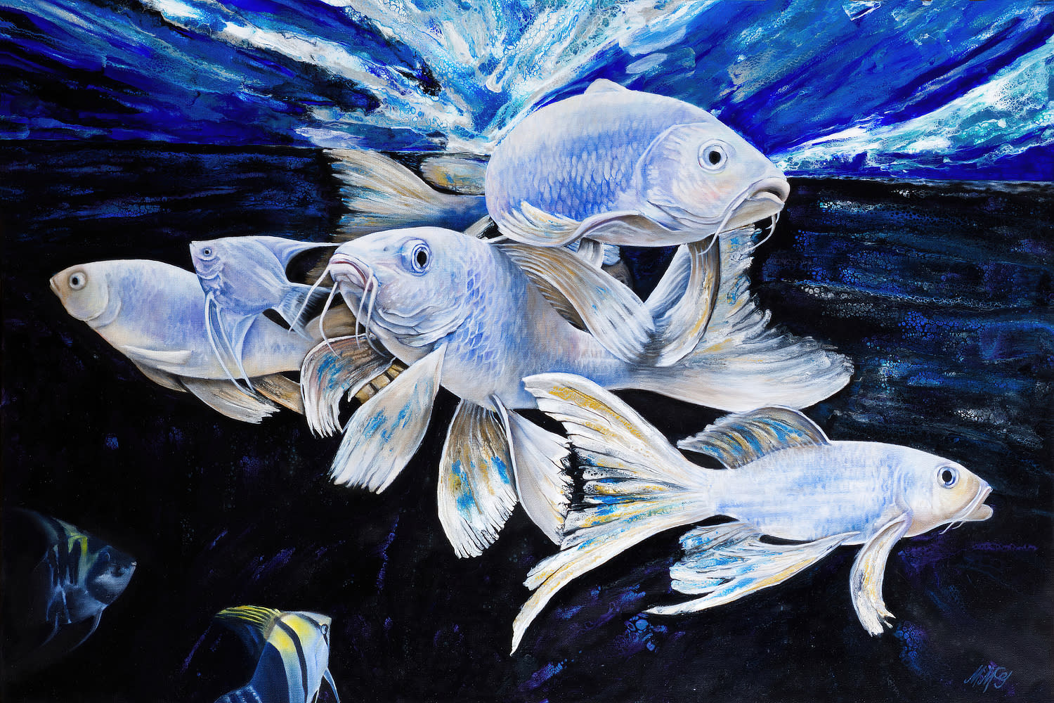 Fish shoal of light   web o6mdwy