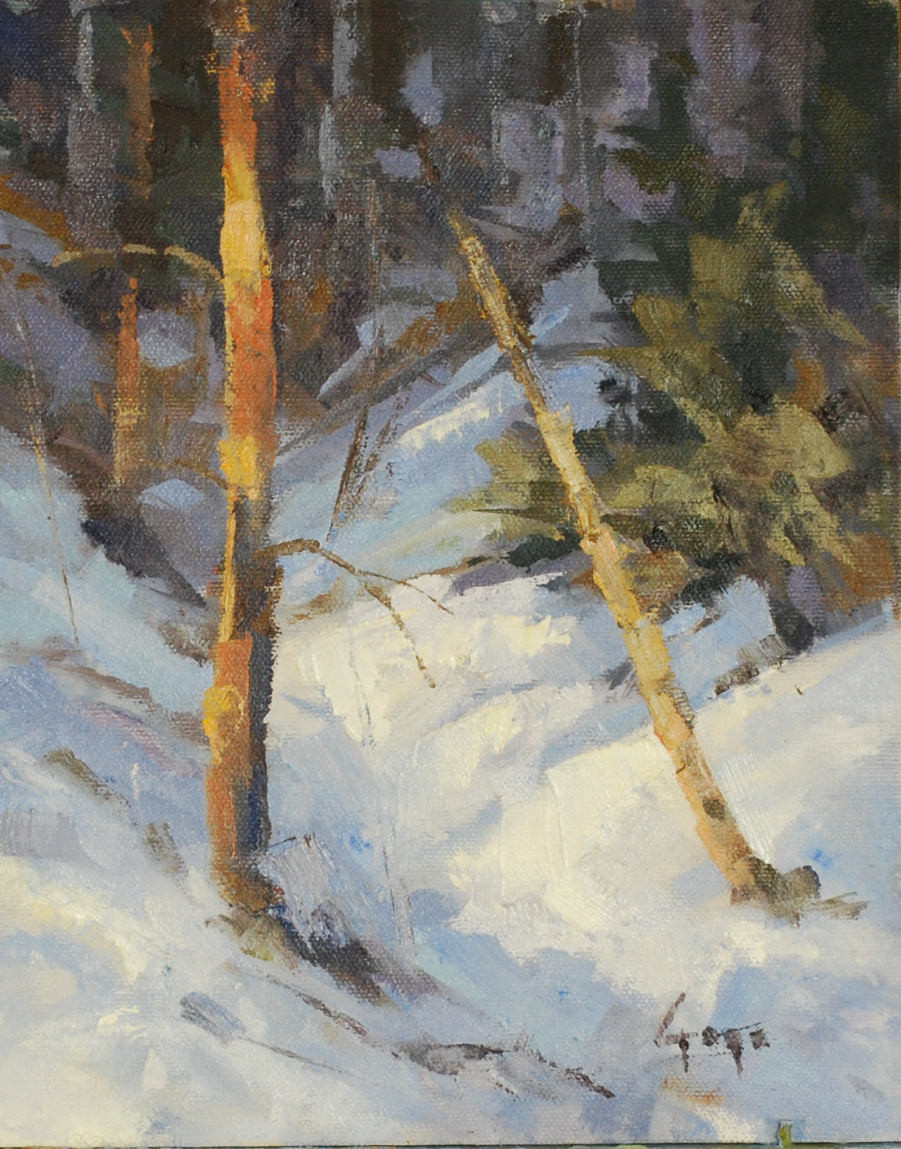 Winter path slivmo