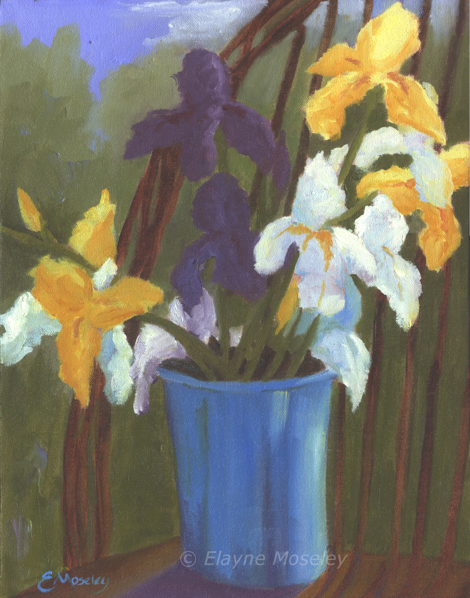 Bucket of irises ujvwjd