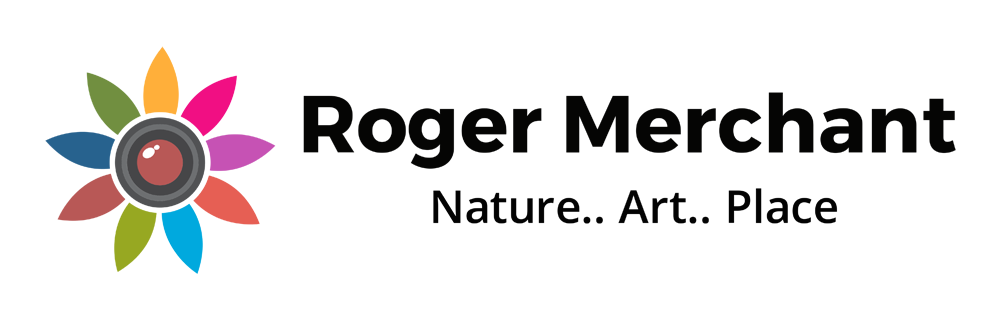 Roger Merchant
