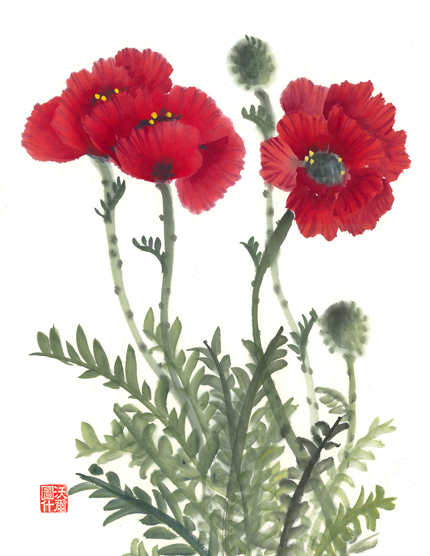 8.5x11 available poppies2 mcpy5m wk9ke8