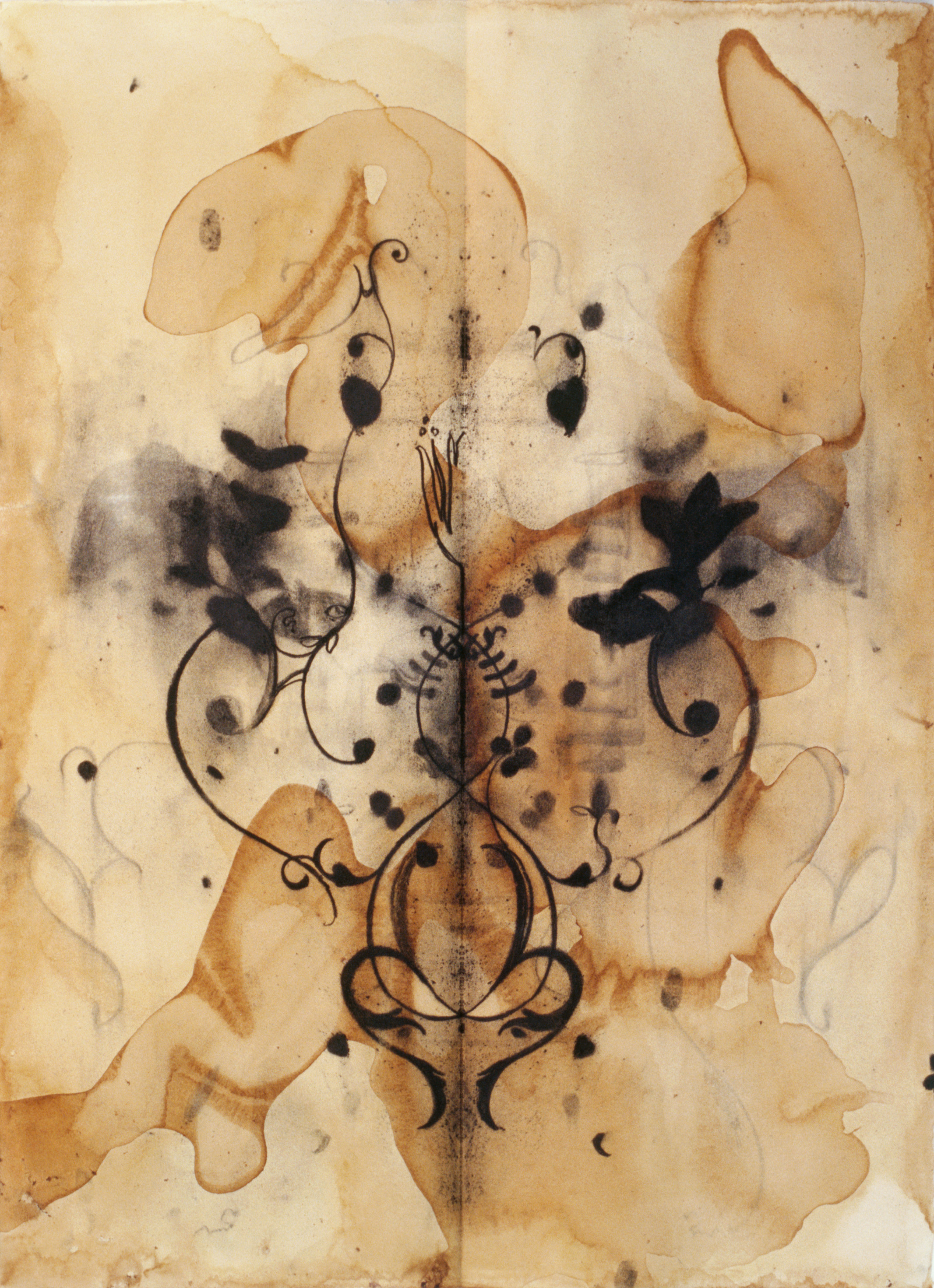 2 heart song the end of winter30x22 charcoal on tea stained paper 2004 a9pnyh