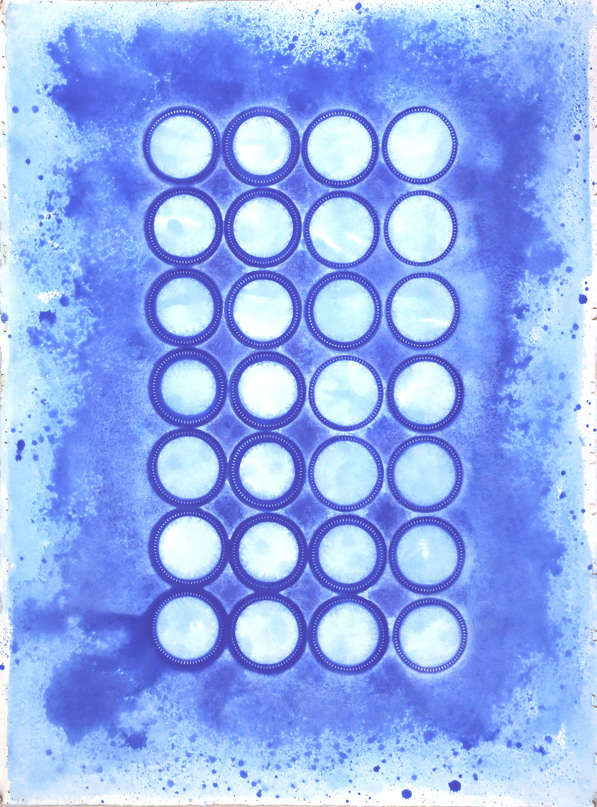 Bluecircleso jtncek