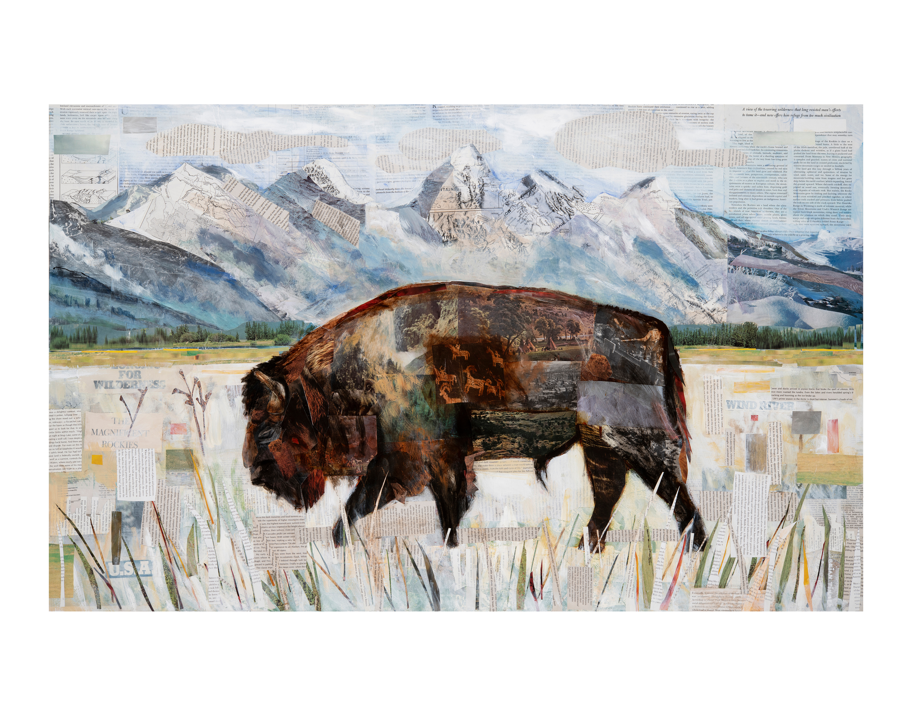 Rocky mountain bison 11x14 pewbin