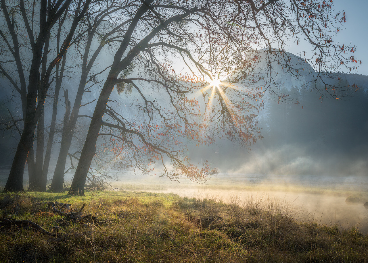 Half dome morning light hmkl85