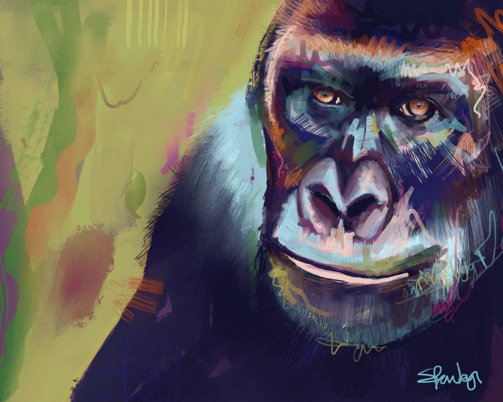 Gorilla for web bmxpzm