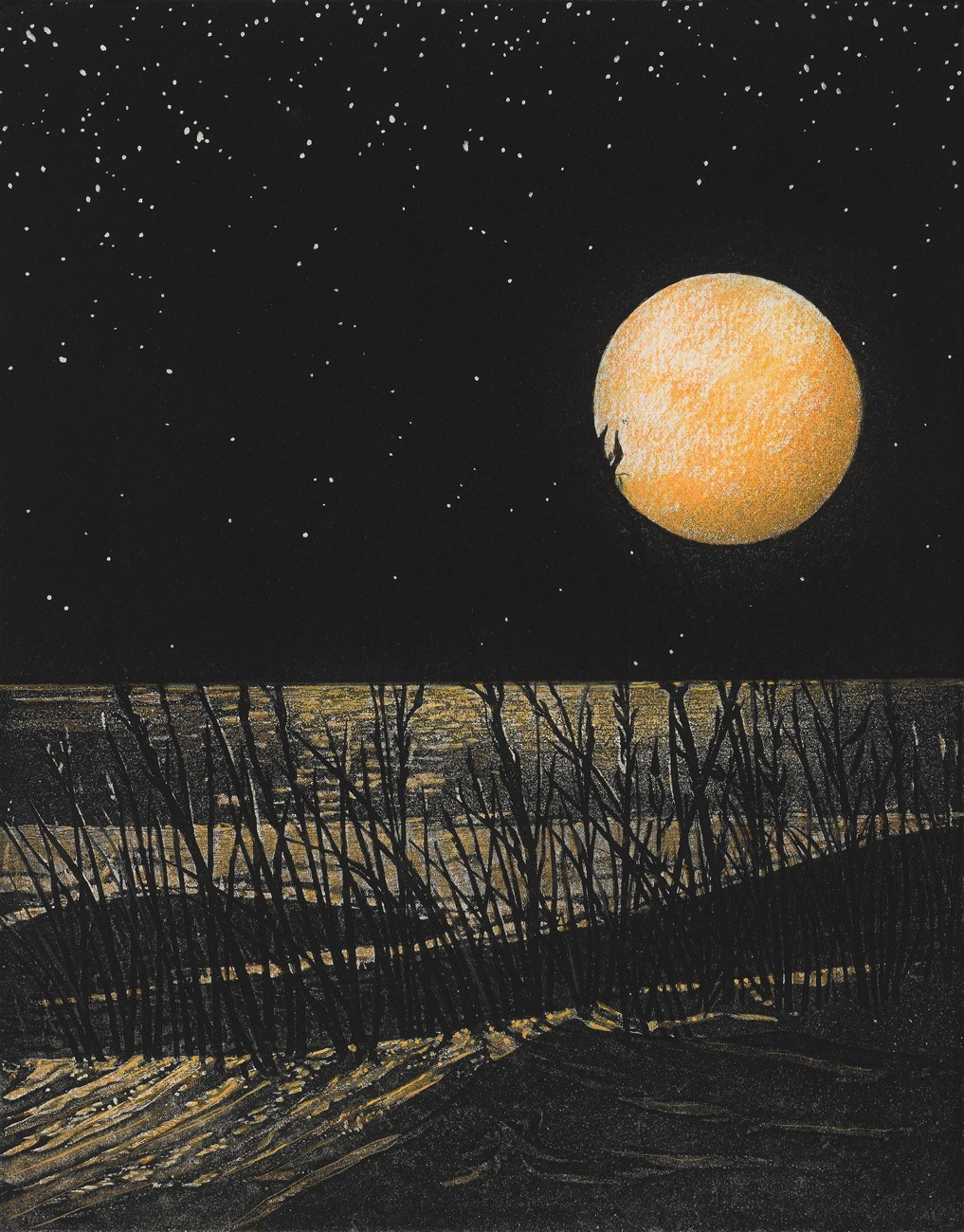 Wild dunes cqcfw7