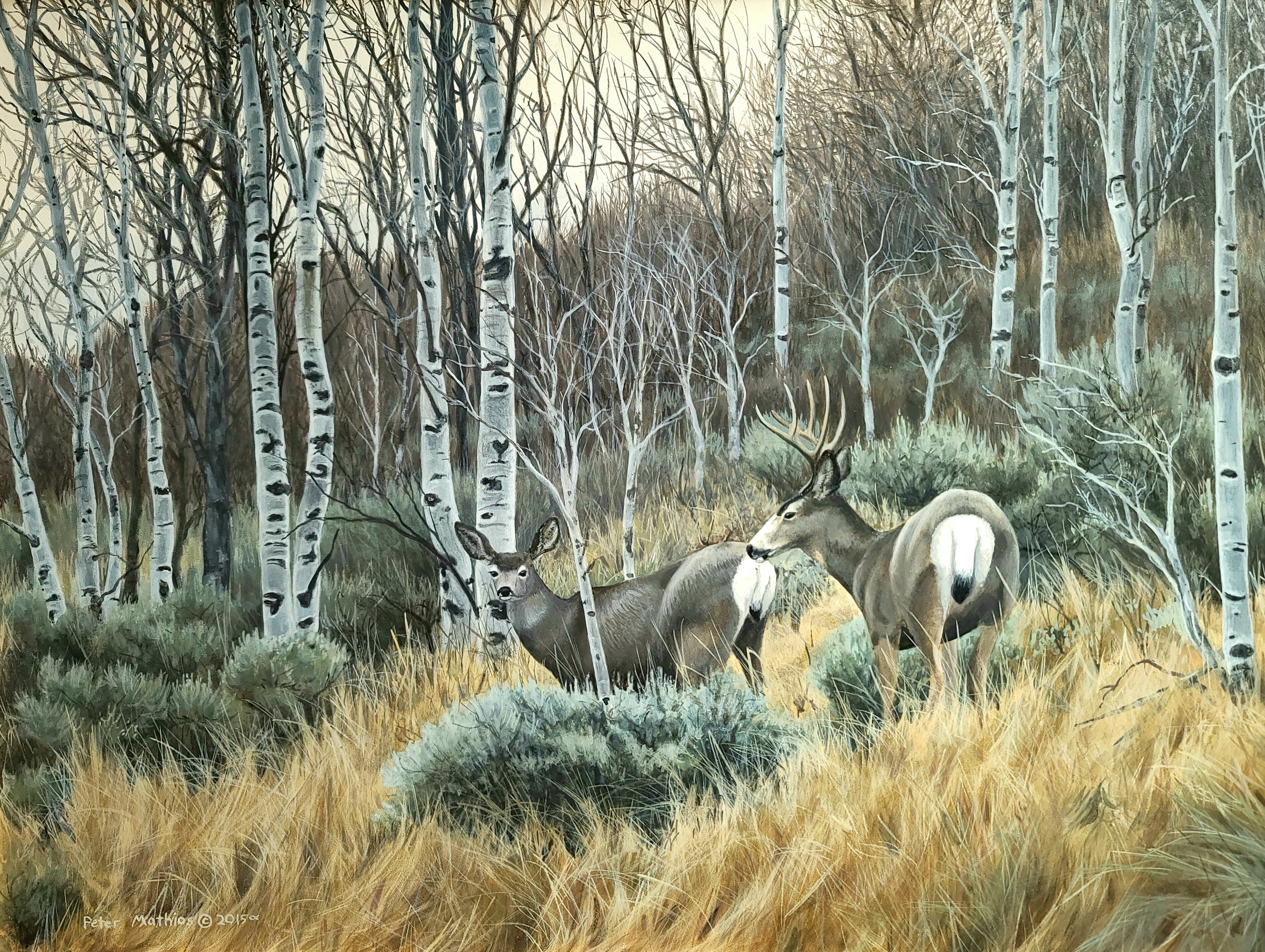 November aspens yygvof