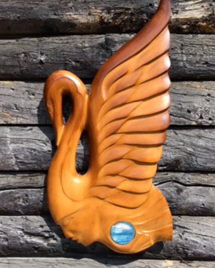 Swan qqtonn
