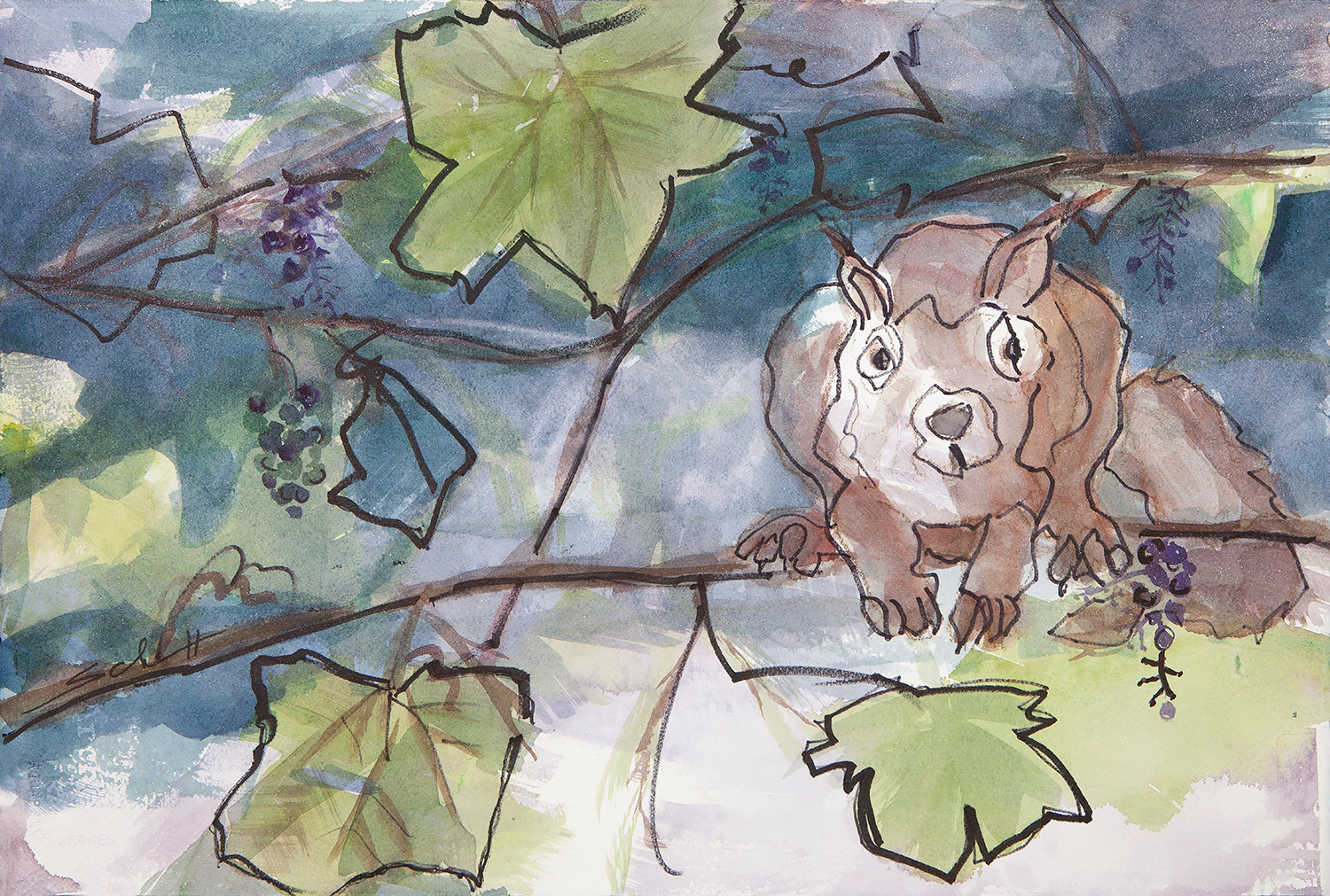 Squirrel rfrbmv