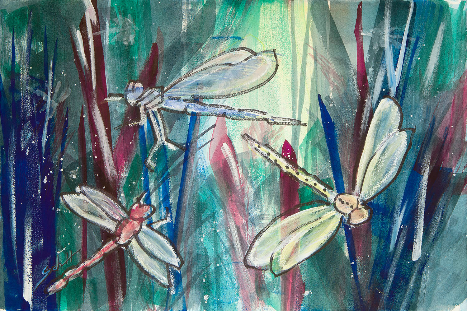 Dragonfly mess fnej5l