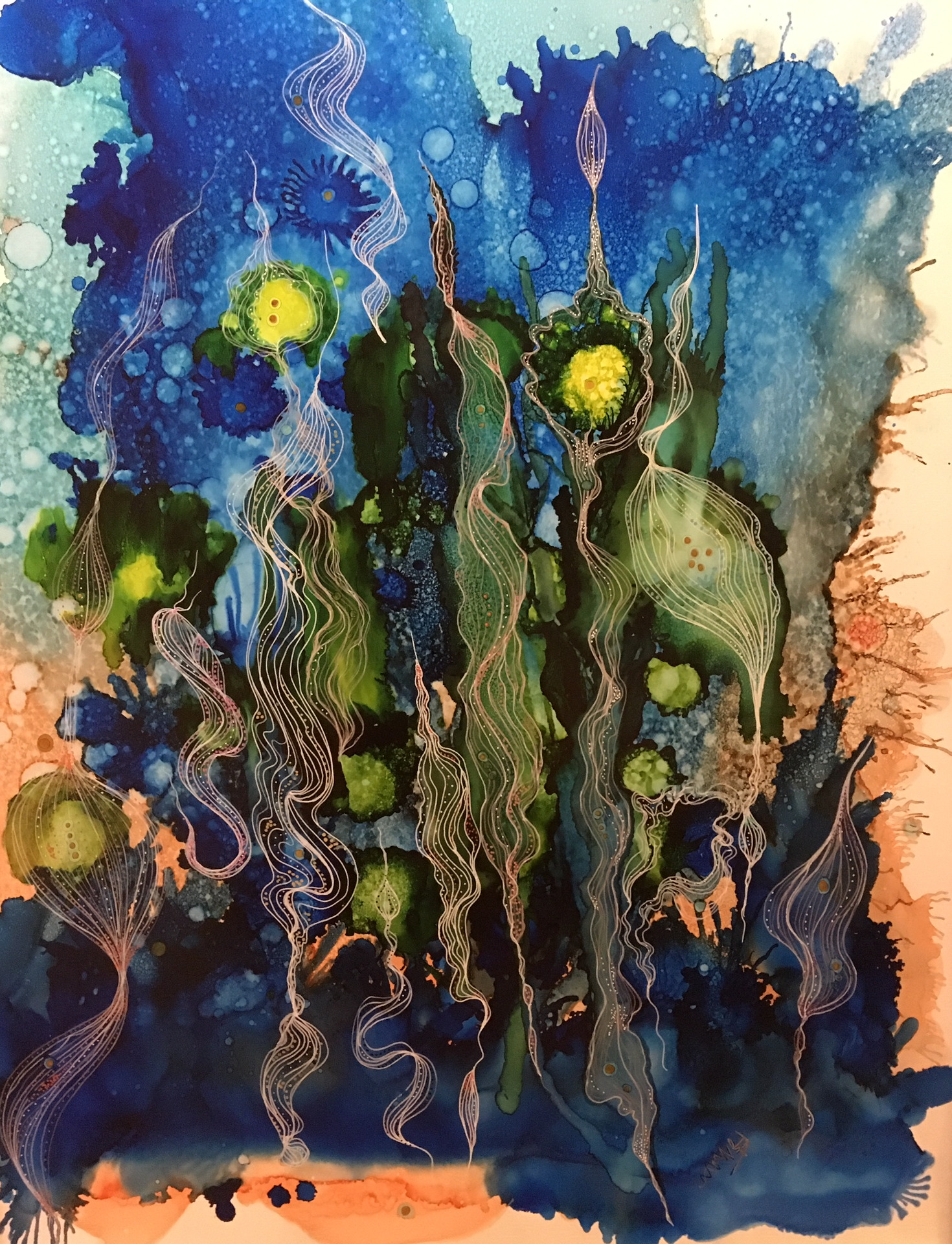 Kelp dance nioi9v