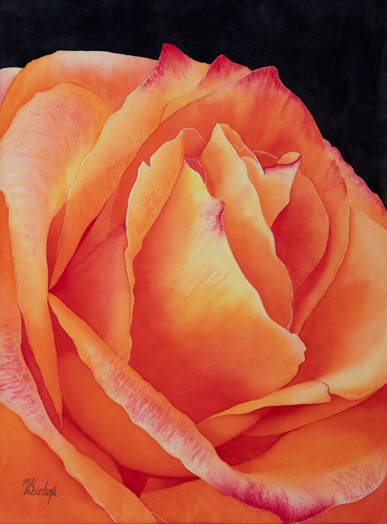 Firerose original kzlqyc