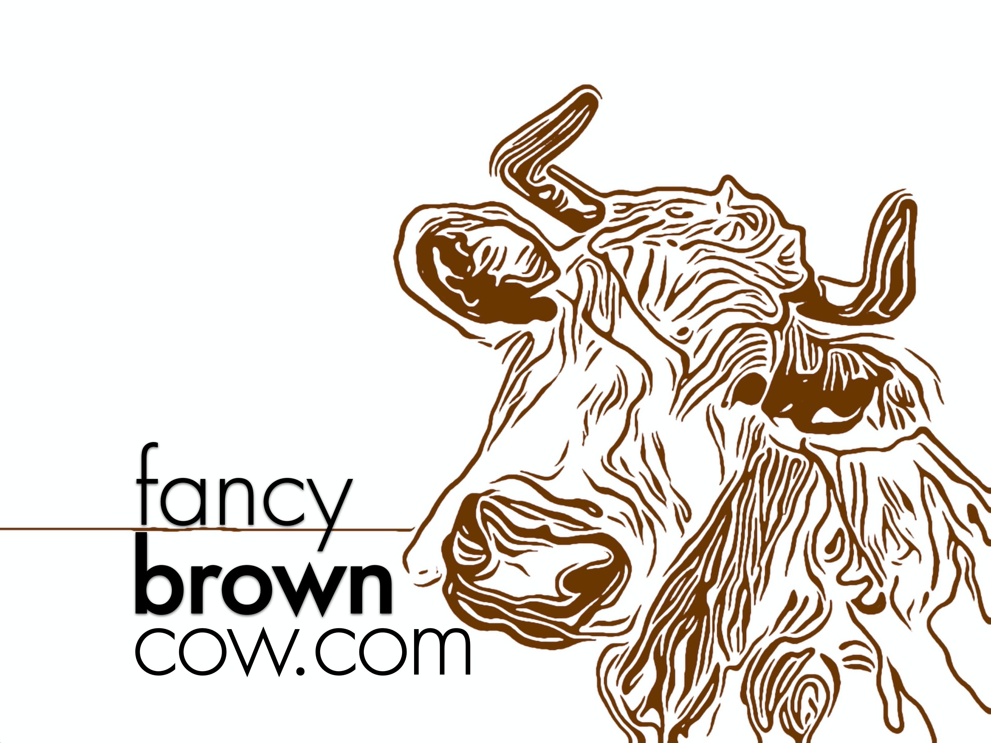Fancy Brown Cow